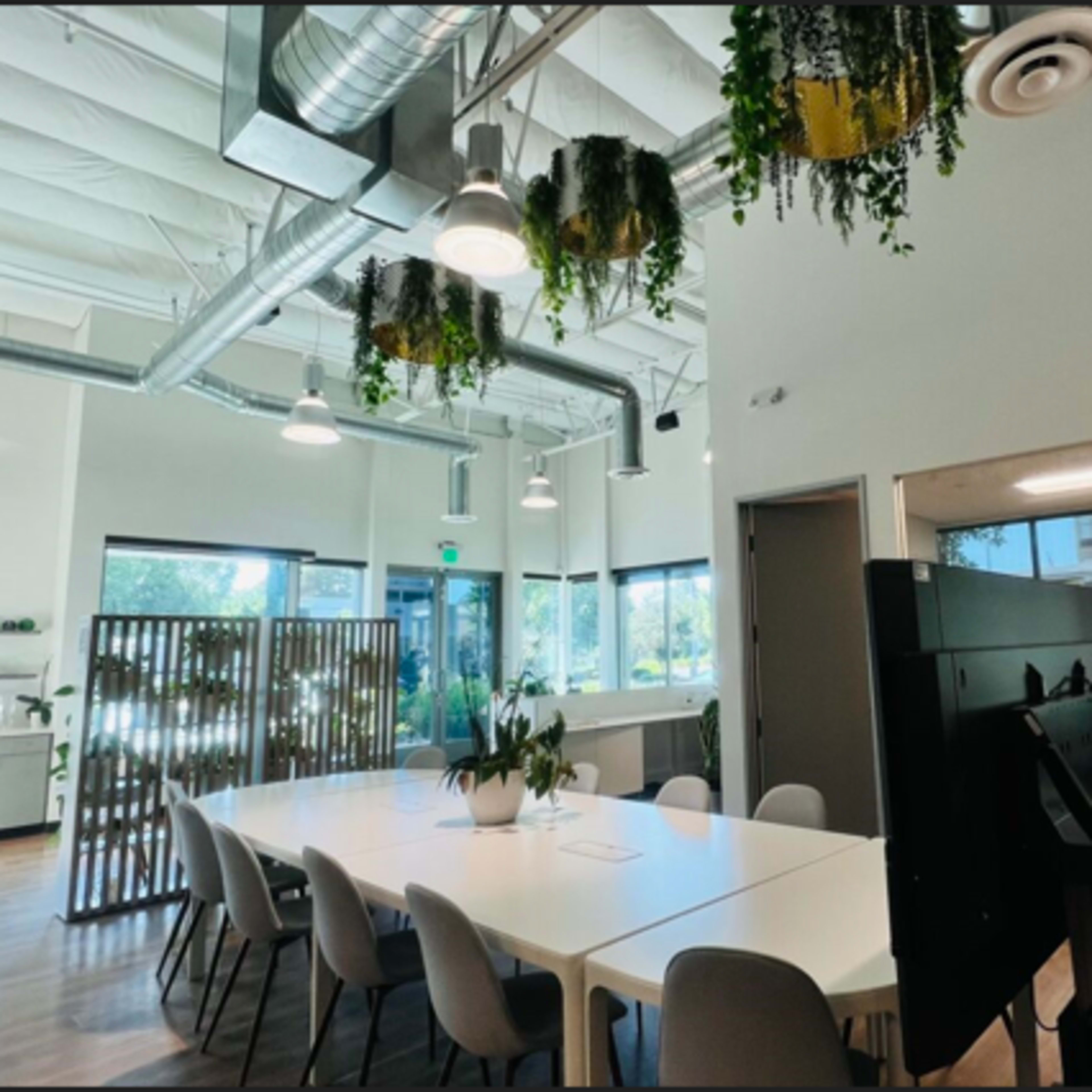 A bright, modern office space with a large white table, gray chairs, and hanging plants from the ceiling.