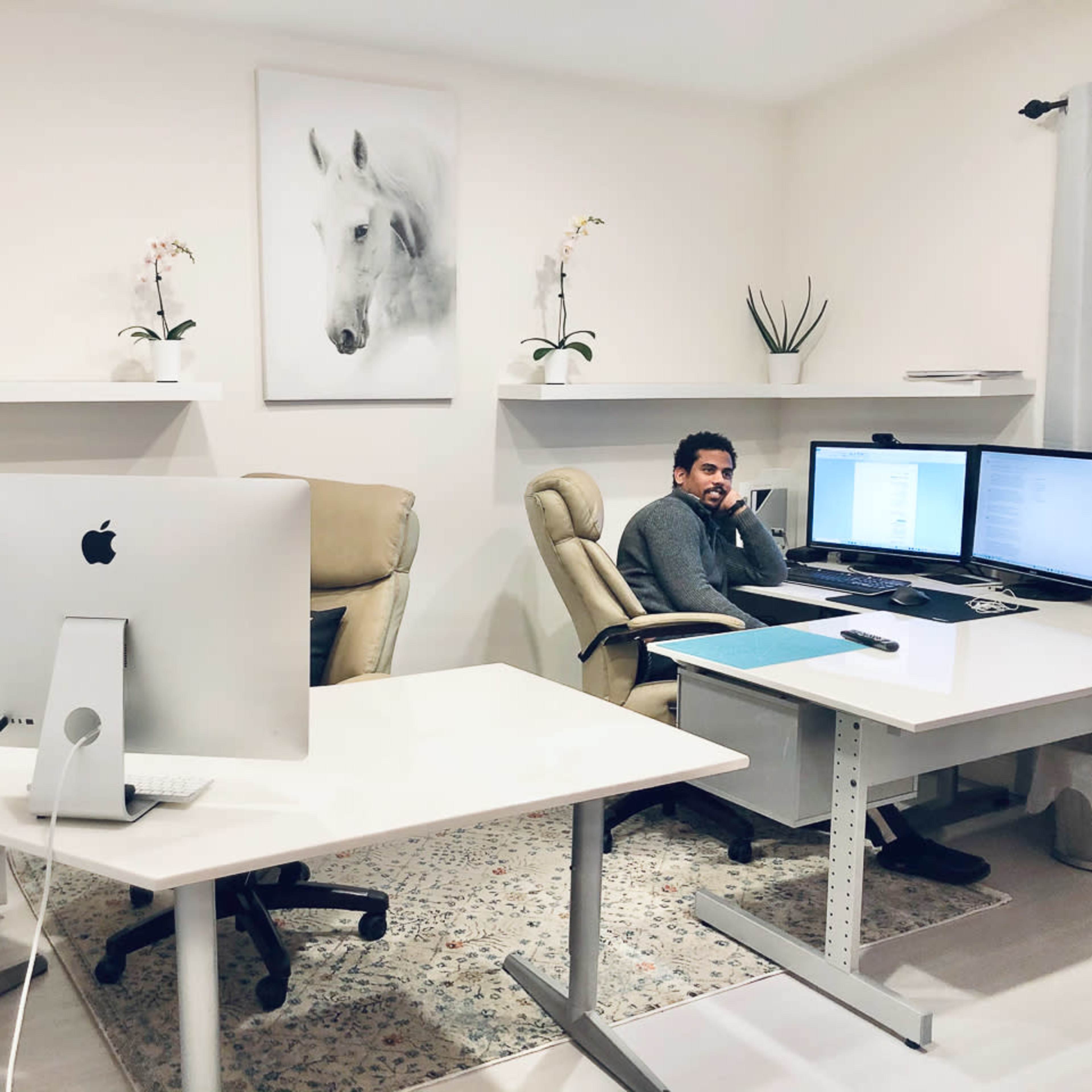 A modern office space featuring two desks, a man seated in an ergonomic chair, dual monitors, and a painting of a horse on the wall.