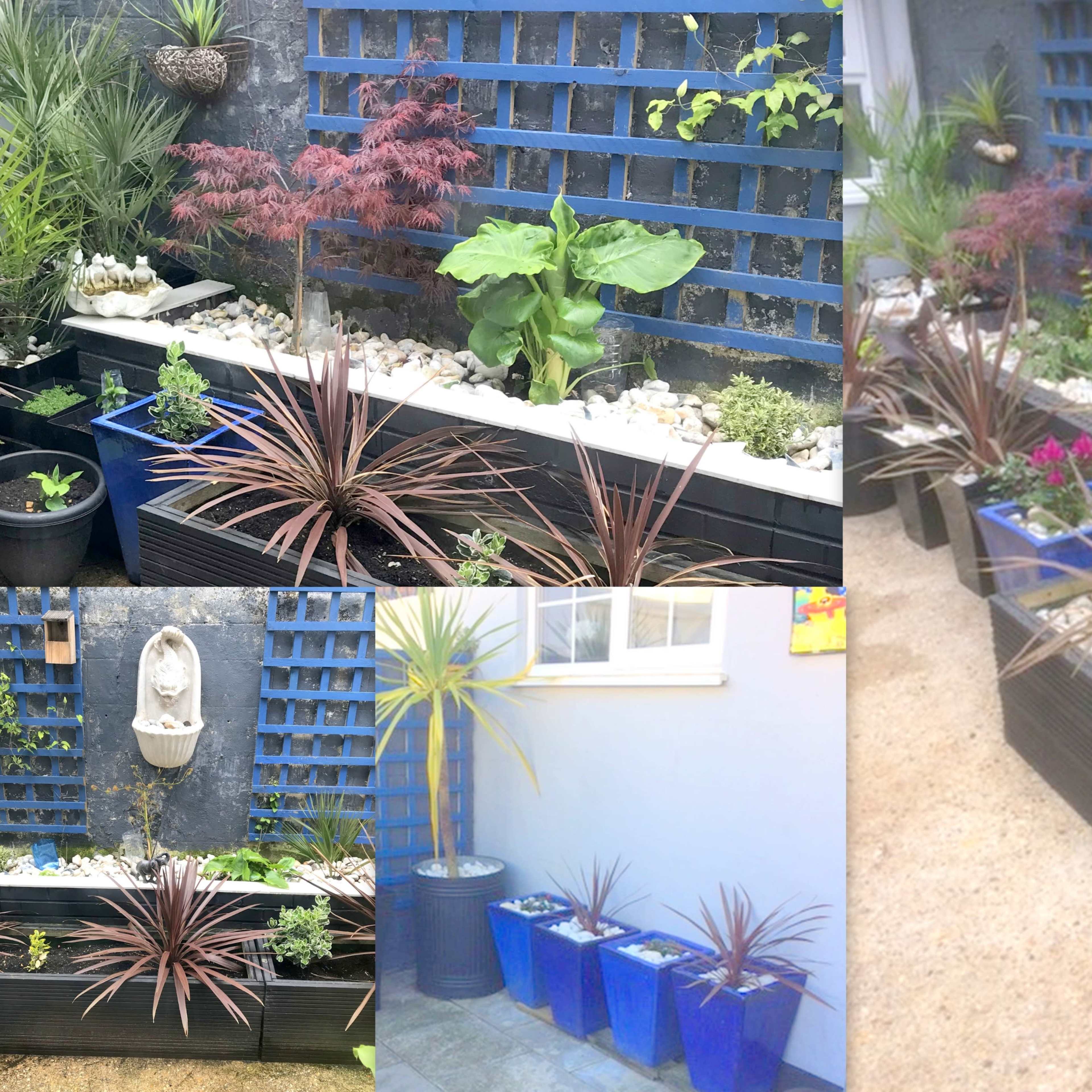 A garden area featuring various potted plants arranged in blue and black planters against a textured wall, with decorative stones and a water feature incorporated into the design.