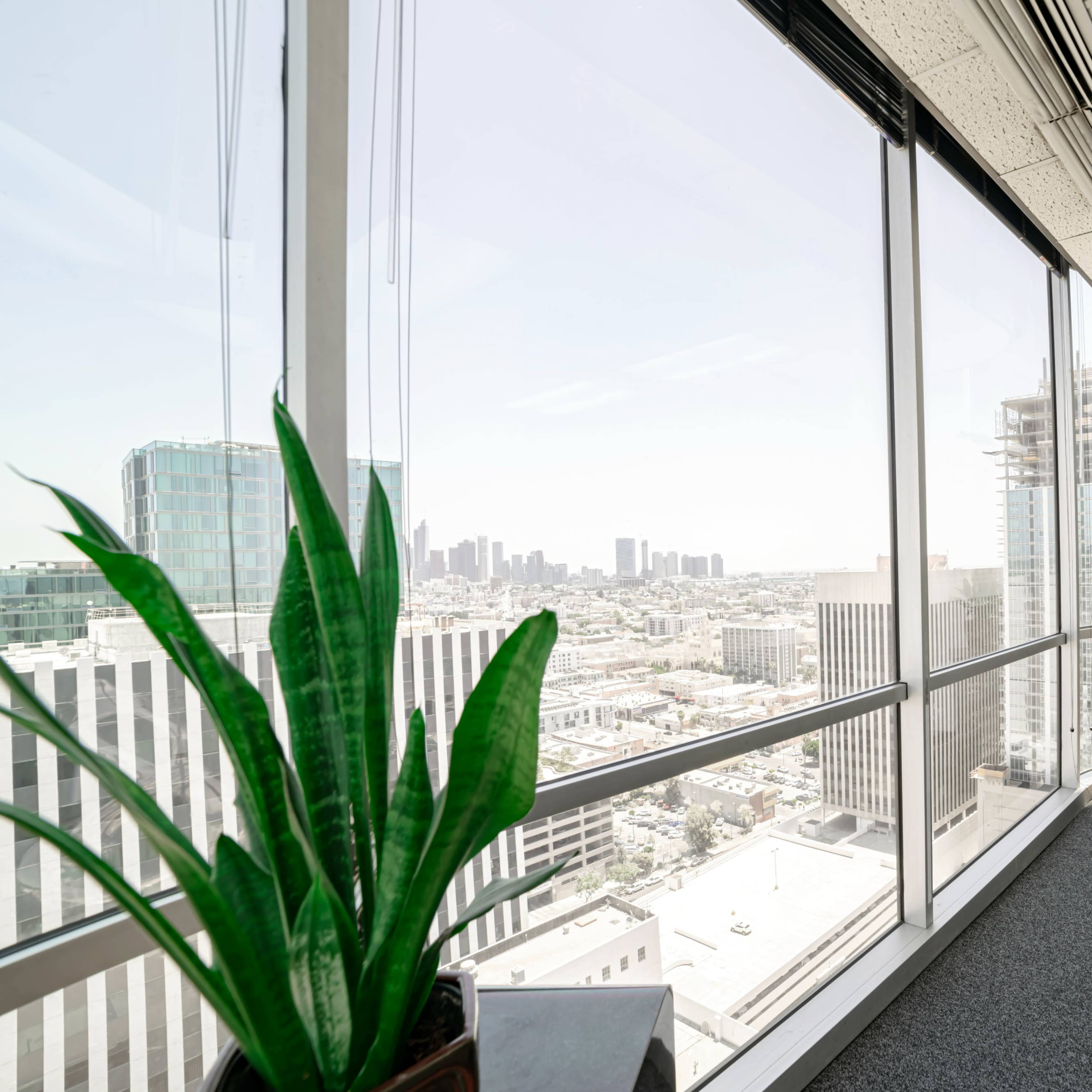 A corner office with large windows offering a view of a city skyline and construction site, paired with potted plants in the foreground.