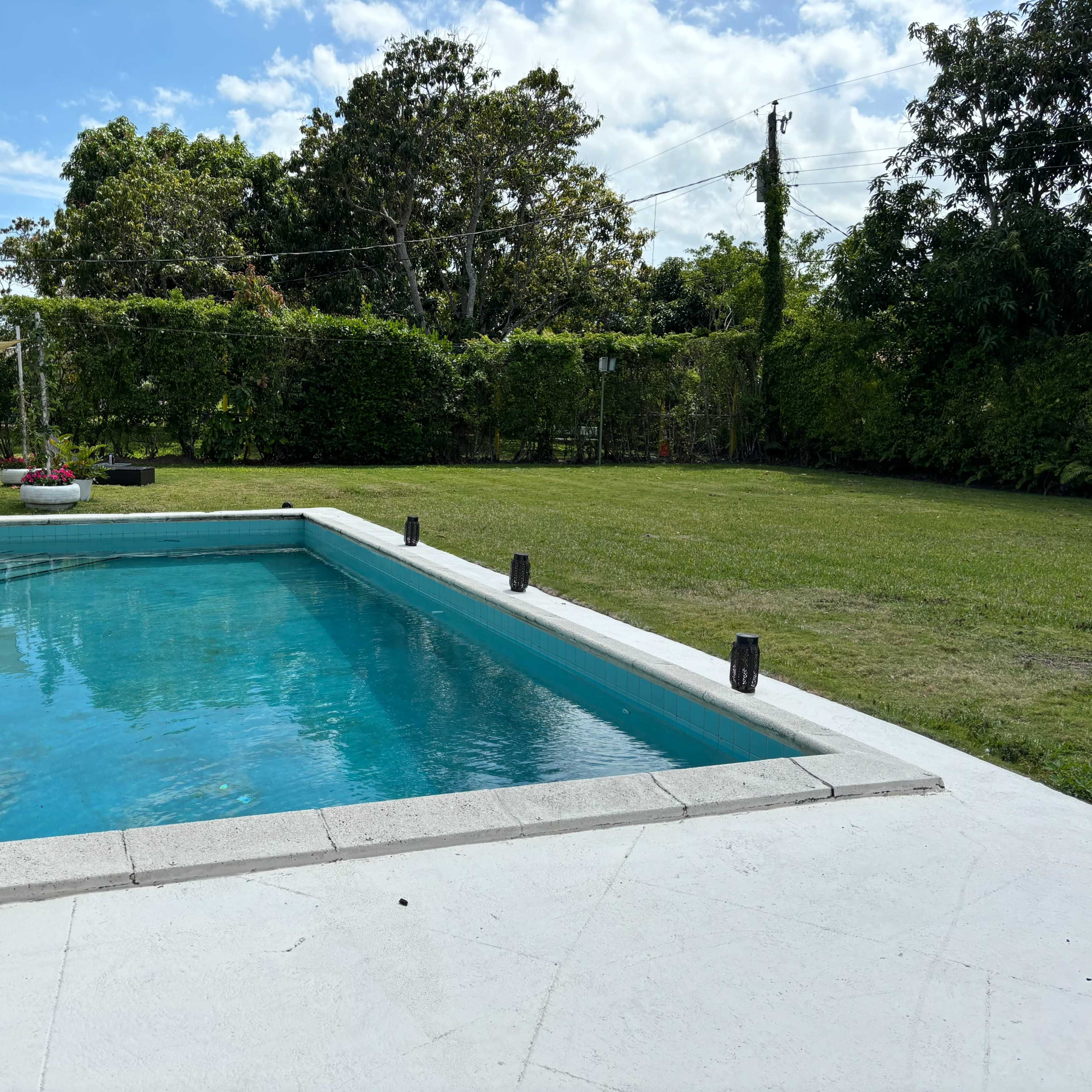 A rectangular swimming pool surrounded by a white tiled deck and a grassy backyard with trees in the background.
