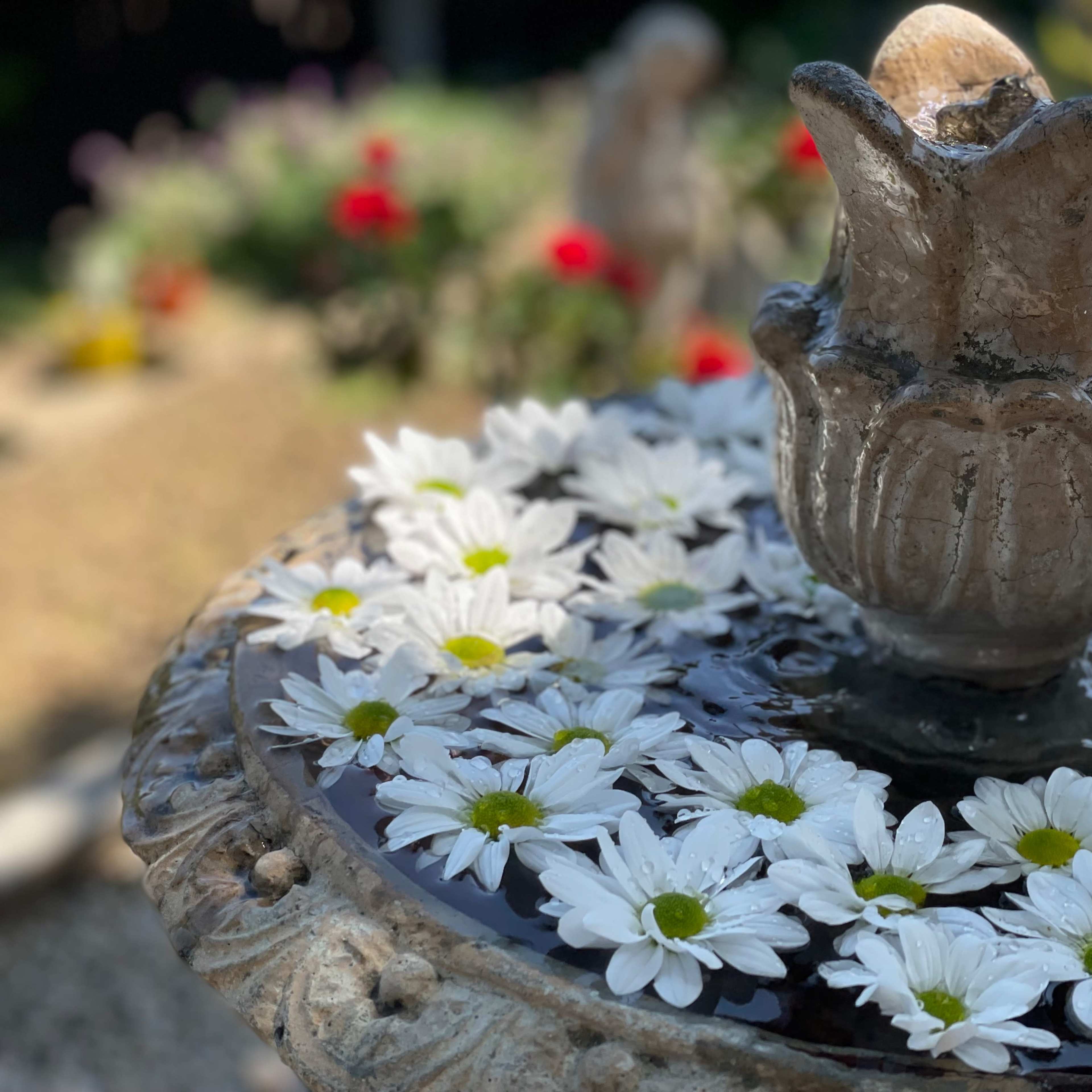 A decorative stone fountain topped with a floral arrangement of white daisies floats on its surface.