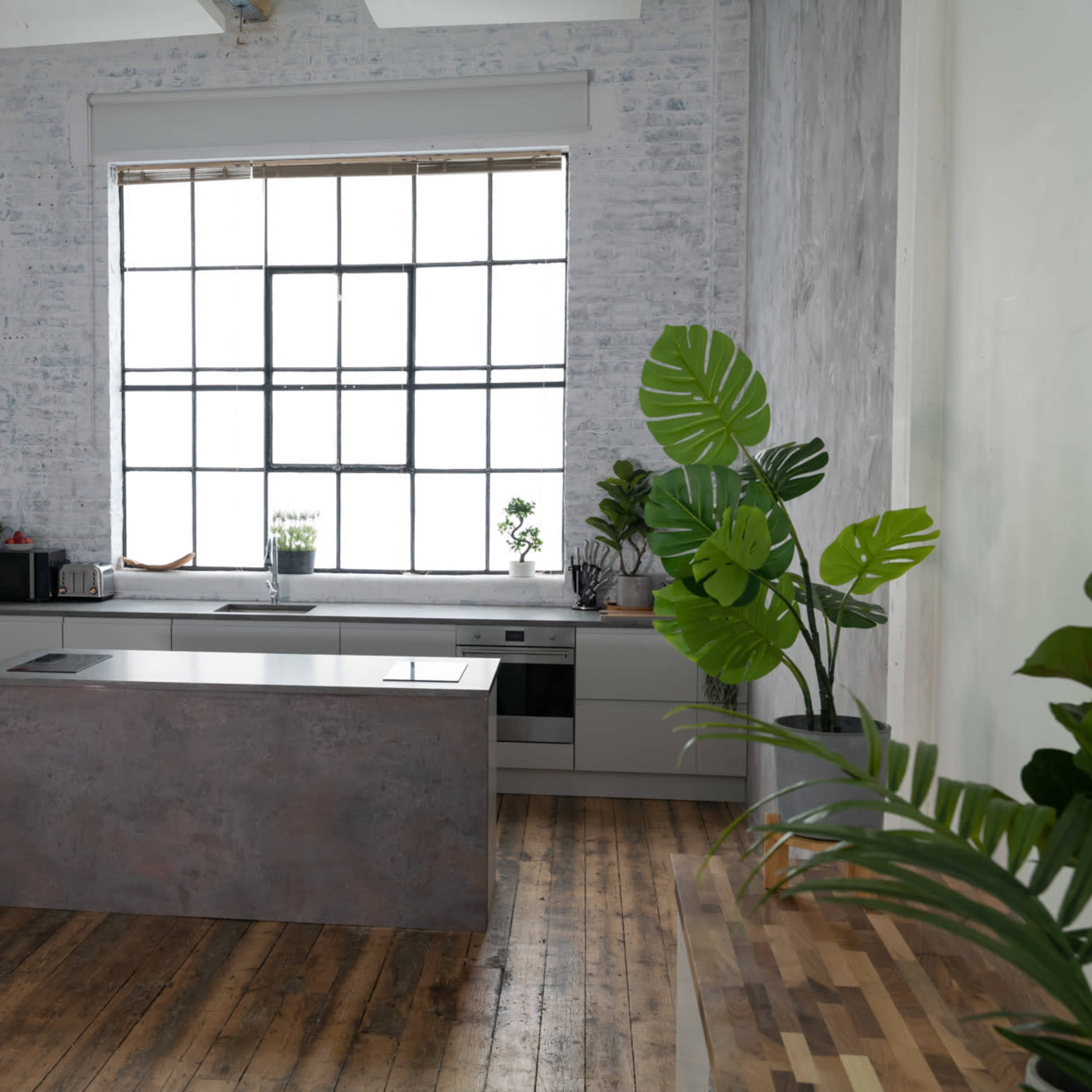 A minimalist kitchen with a central island, a large window, and potted plants, set against a textured gray wall and wooden floor.