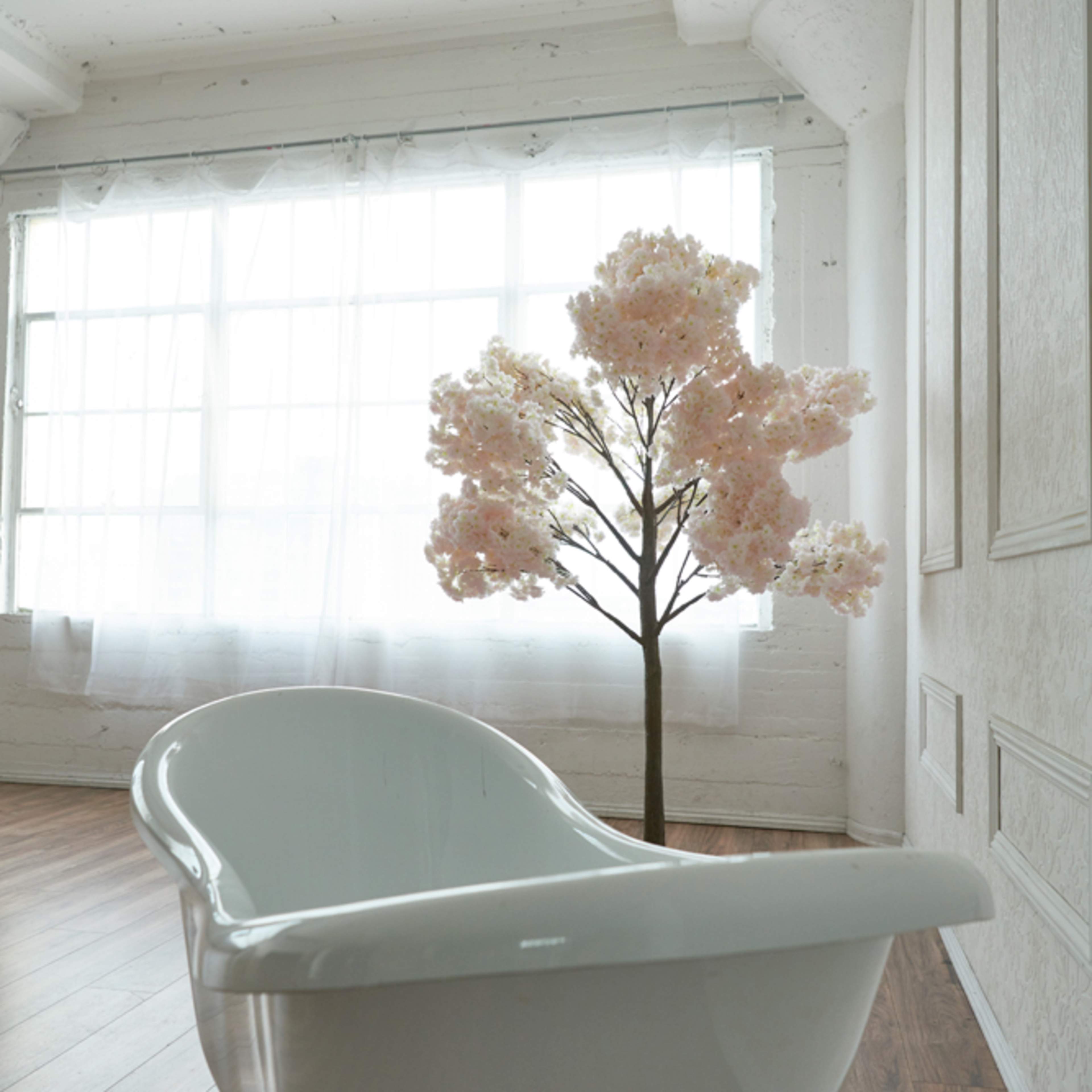 A bright, minimalistic interior featuring a white bathtub and a pink flowering tree near a large window.
