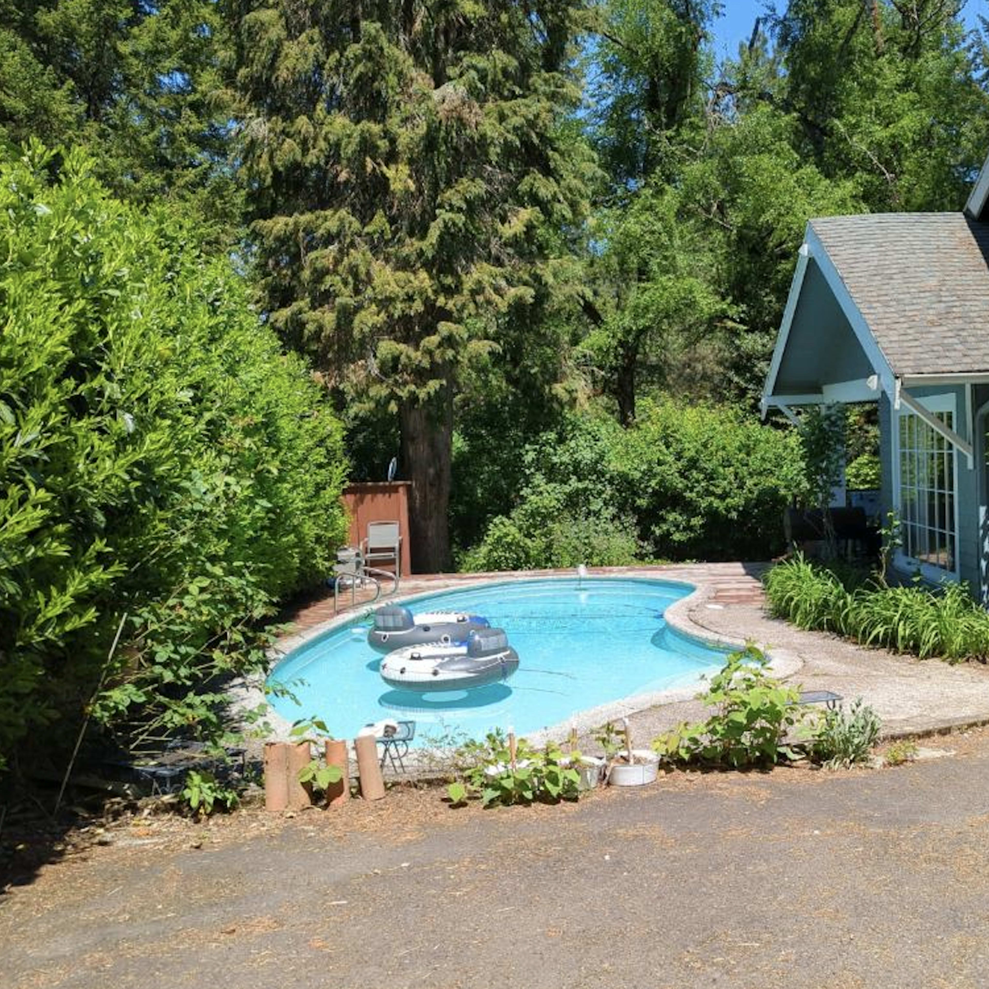 A blue house with a porch is situated next to a swimming pool surrounded by trees and greenery.