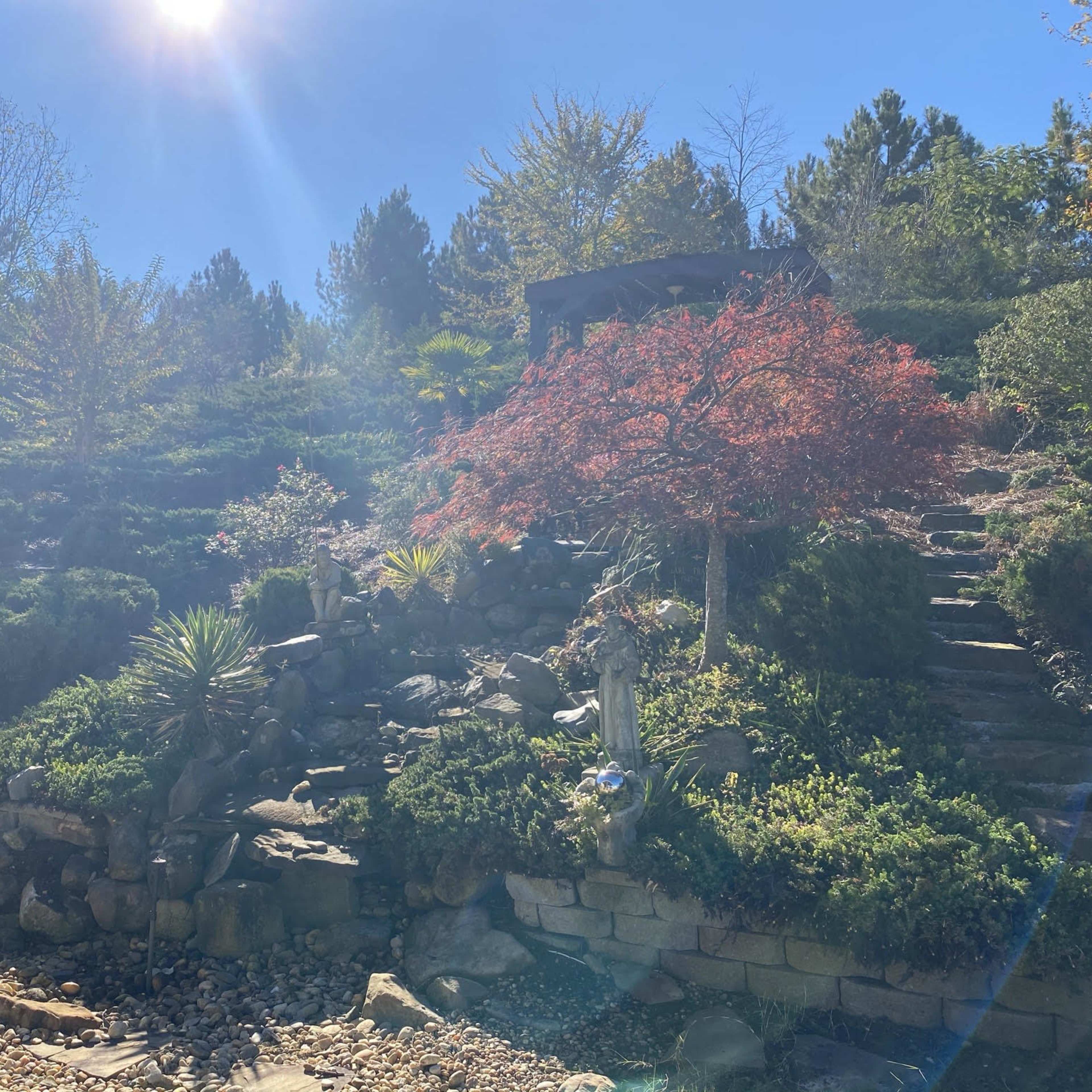 A landscaped garden with a variety of plants, a rocky water feature, and a staircase leading up to a shaded structure.