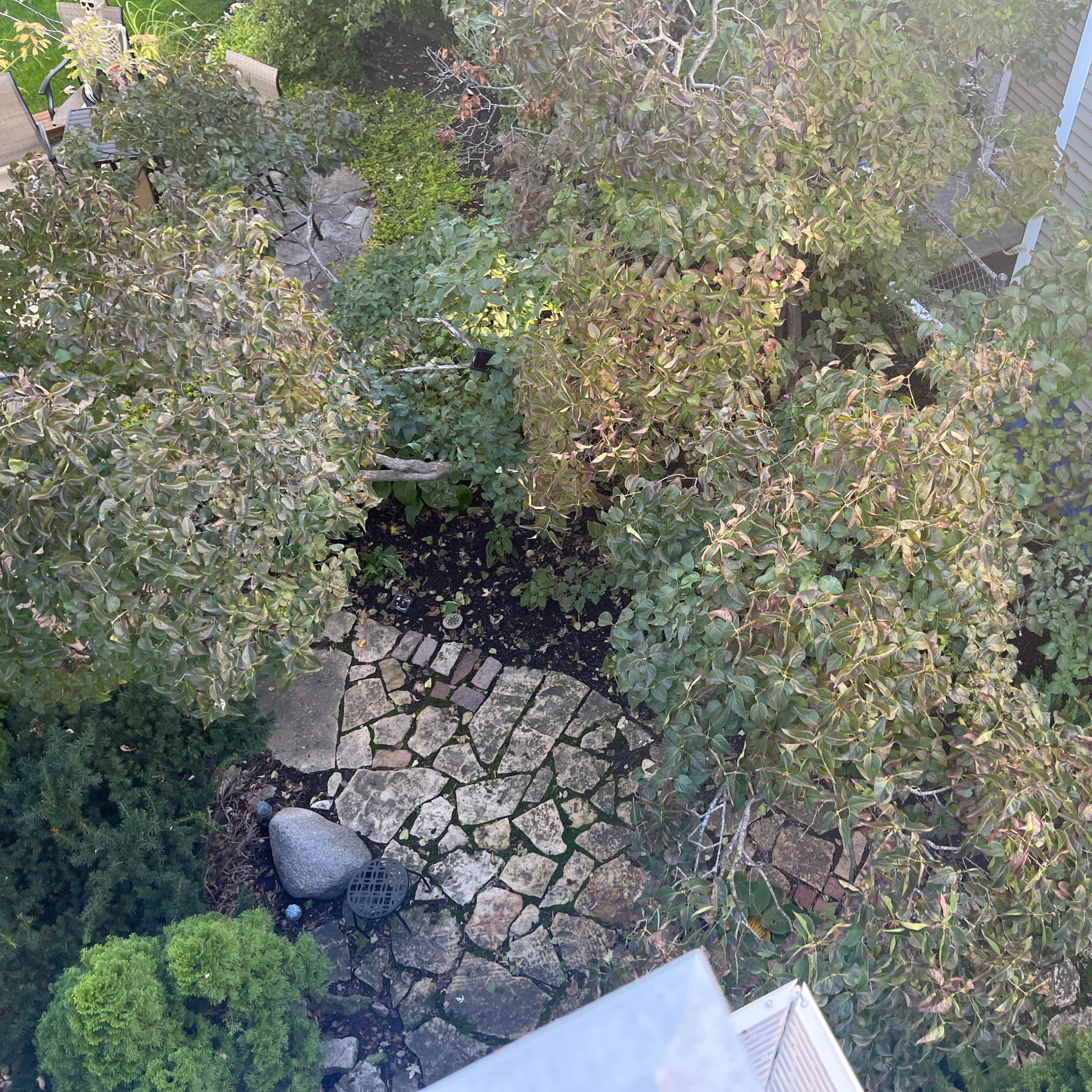 A bird's-eye view of a garden area featuring a stone pathway surrounded by greenery and trees.