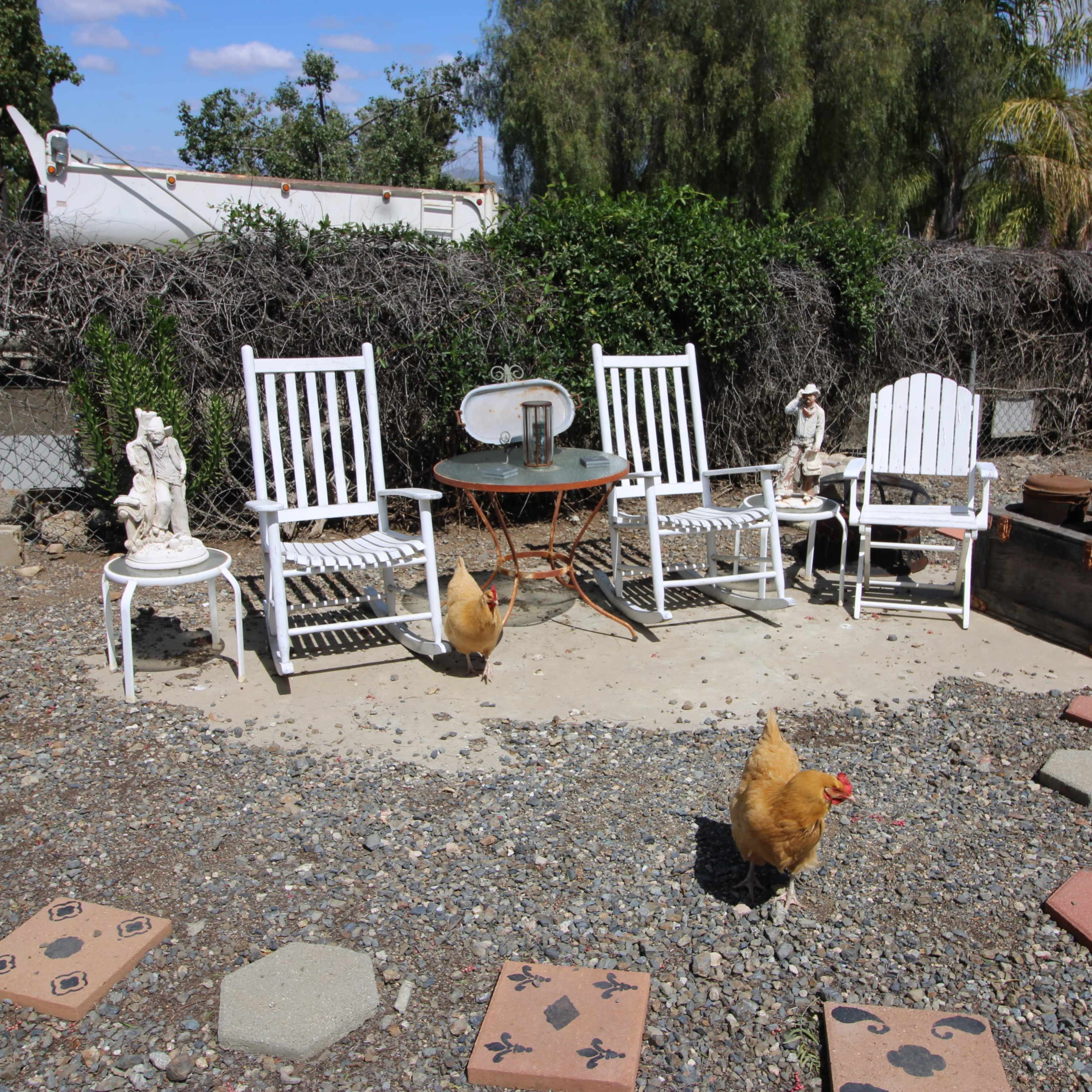 A fenced outdoor area with chairs, a table, statues, decorative stones on the ground, and chickens roaming around.