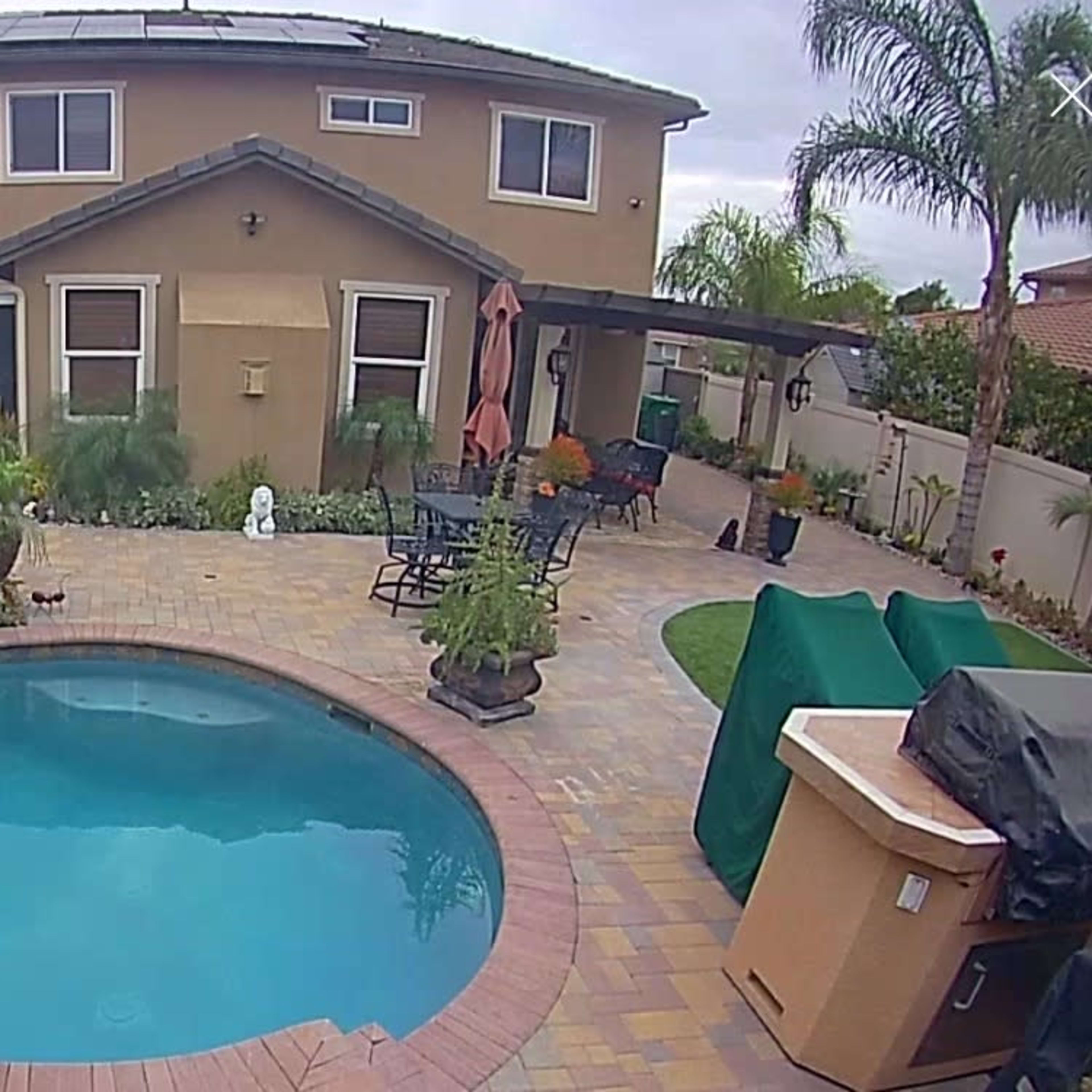 A backyard with a swimming pool, patio furniture, and various plants surrounding a two-story house.