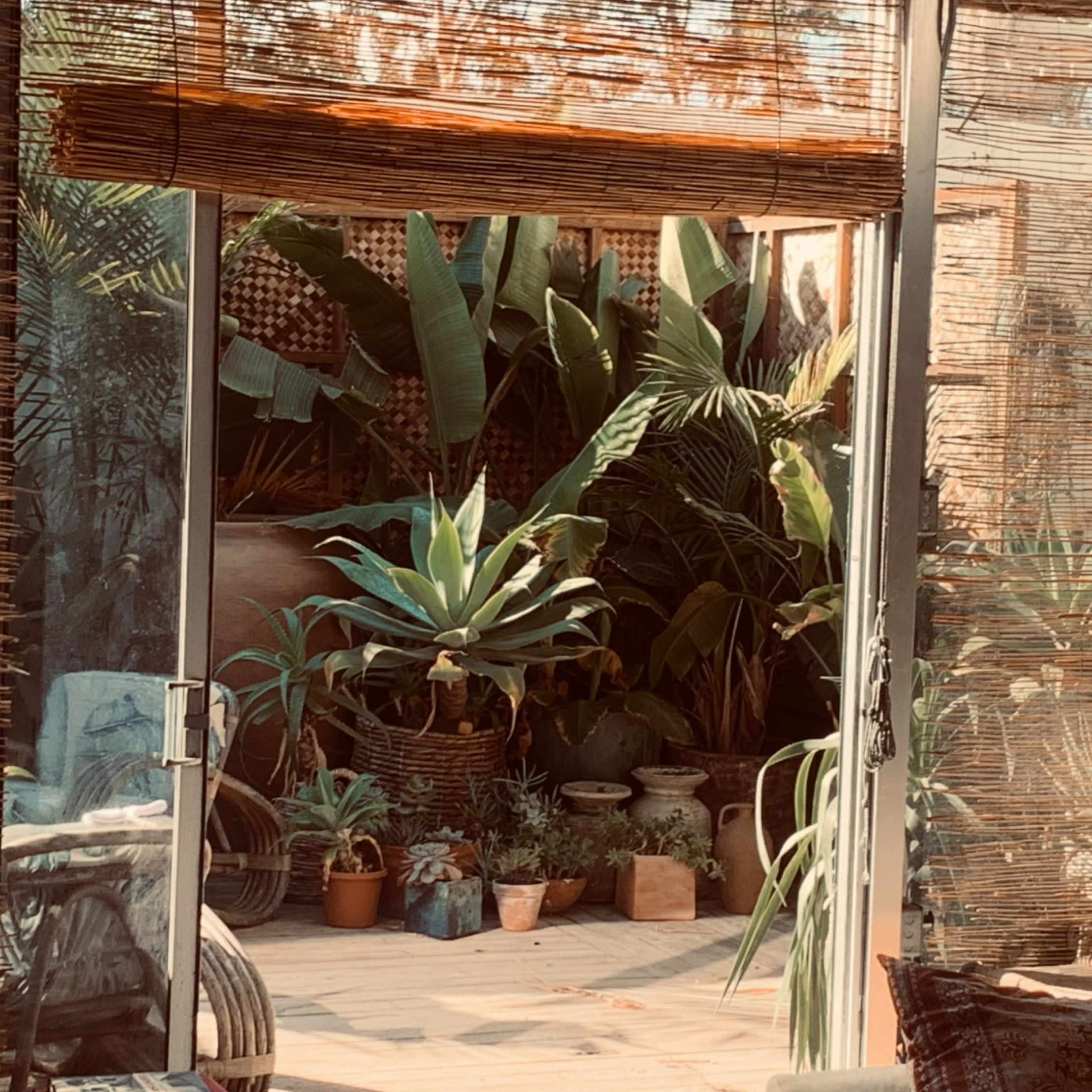 bali tropical studio Image in Westlake, Los Angeles, CA