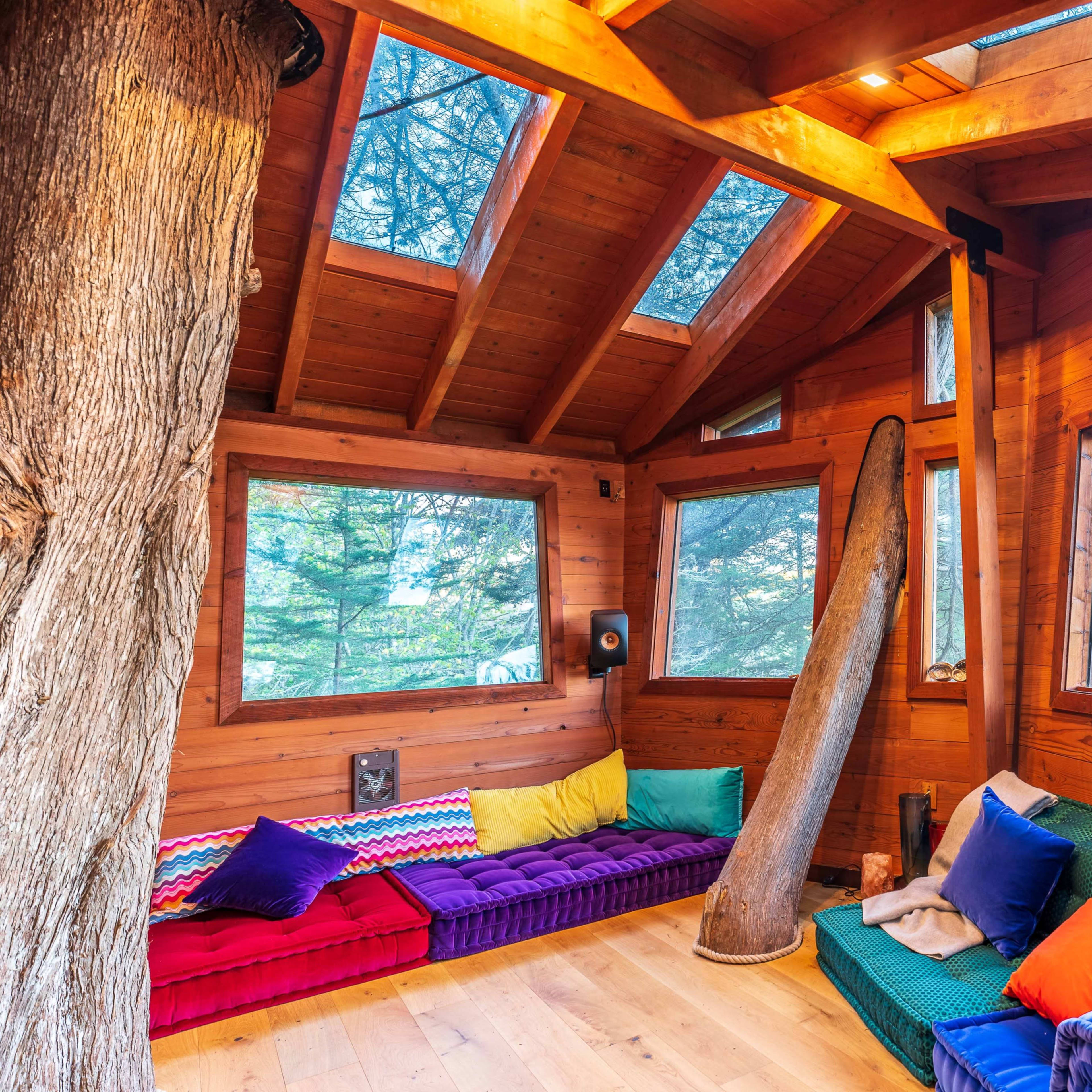 The interior of a wooden cabin features colorful sofas, large windows, and exposed beams, providing a view of the surrounding trees.
