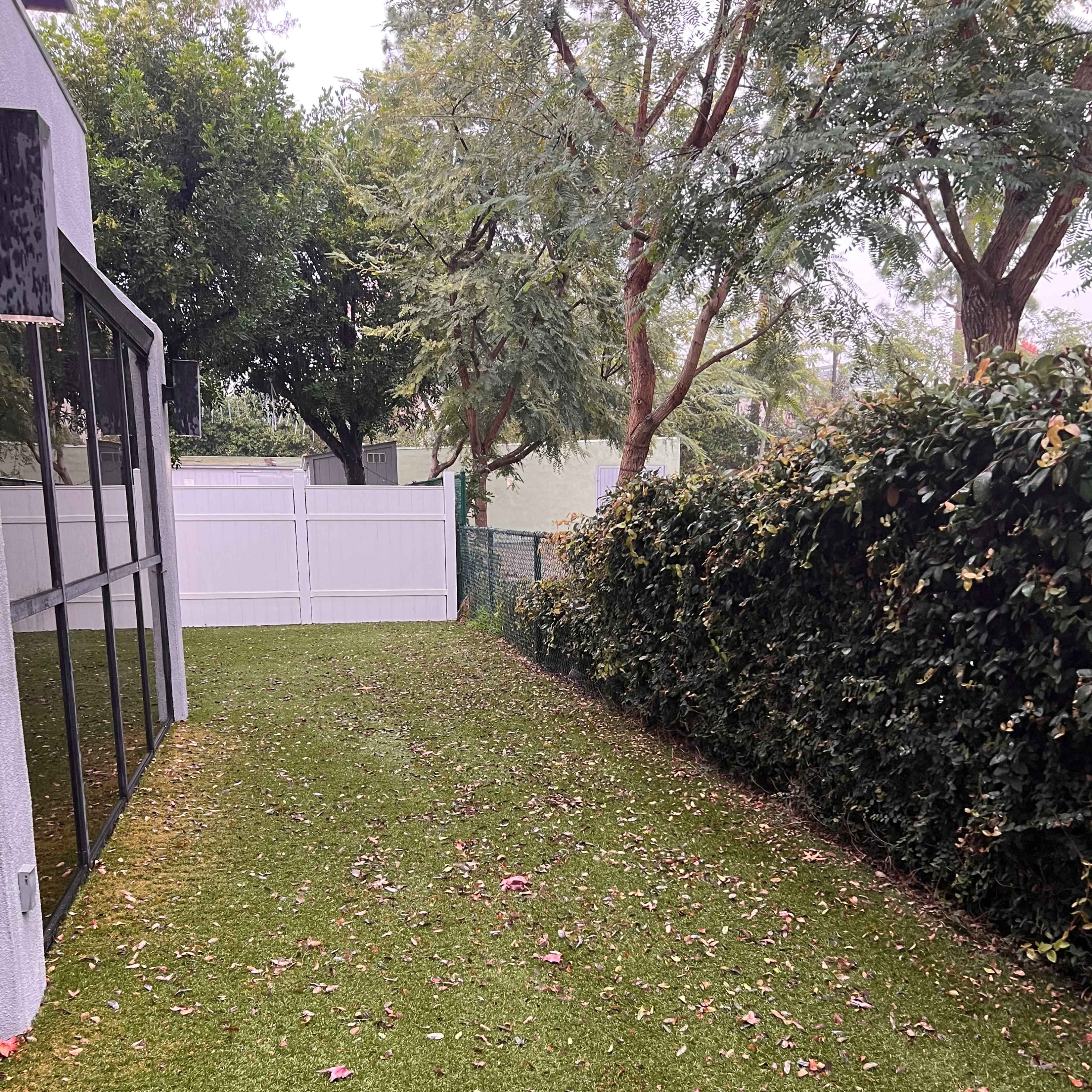 A green grass area flanked by a hedge, with a white fence in the background.