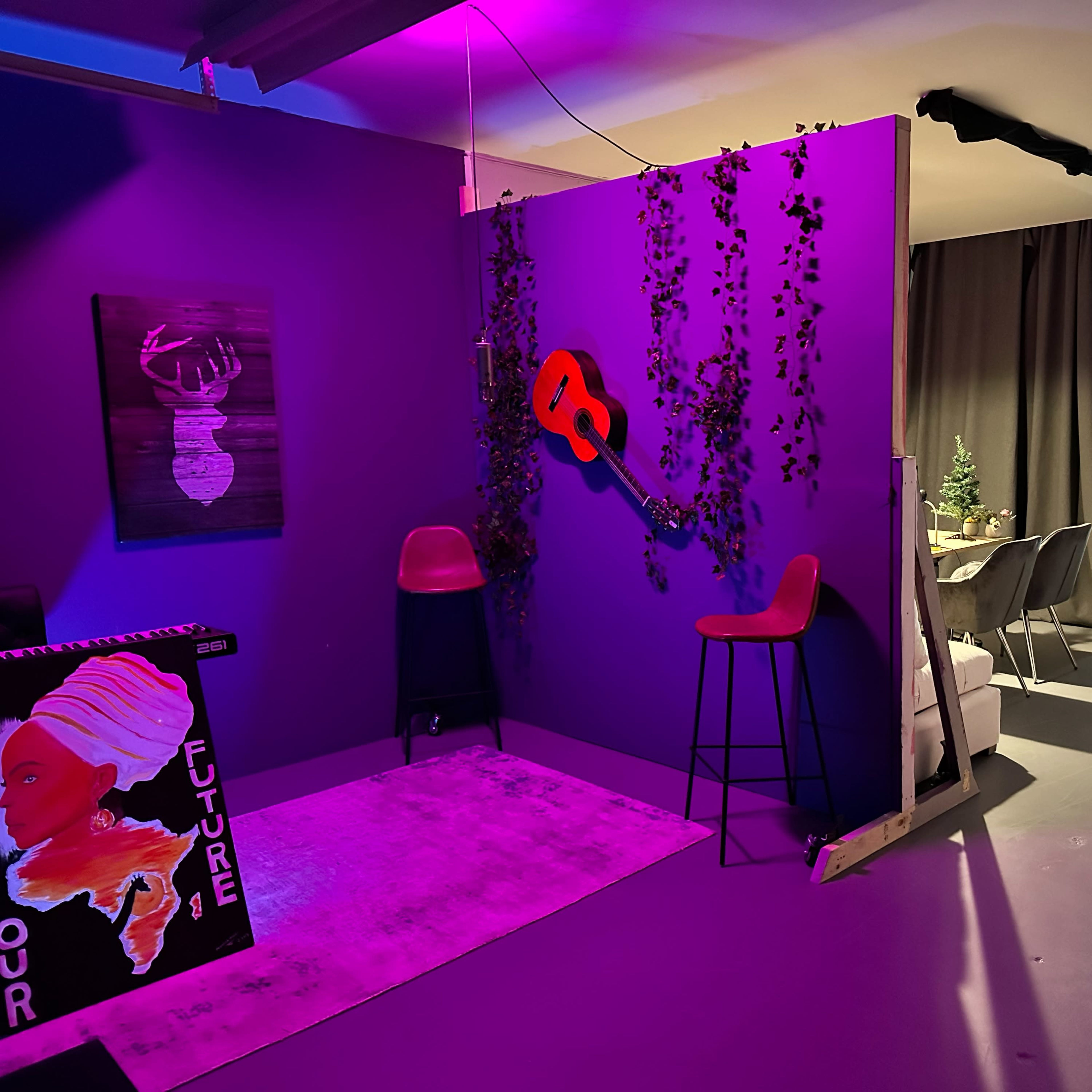 An interior space divided by a purple wall with decorative plants, featuring a guitar, two chairs, and a view of a bed behind a curtain.