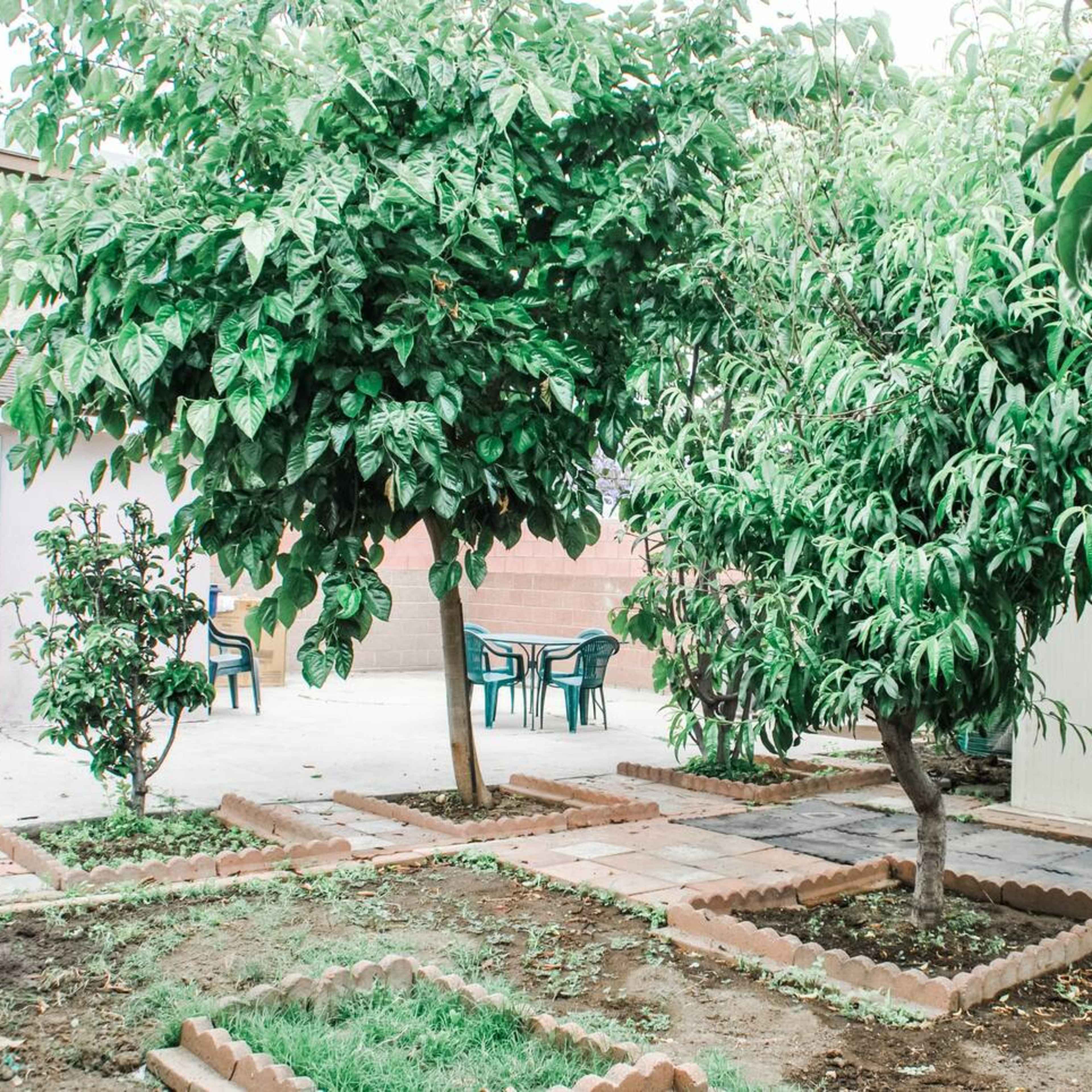 A backyard garden featuring several trees, green grass, and a few patio chairs arranged near a white door.