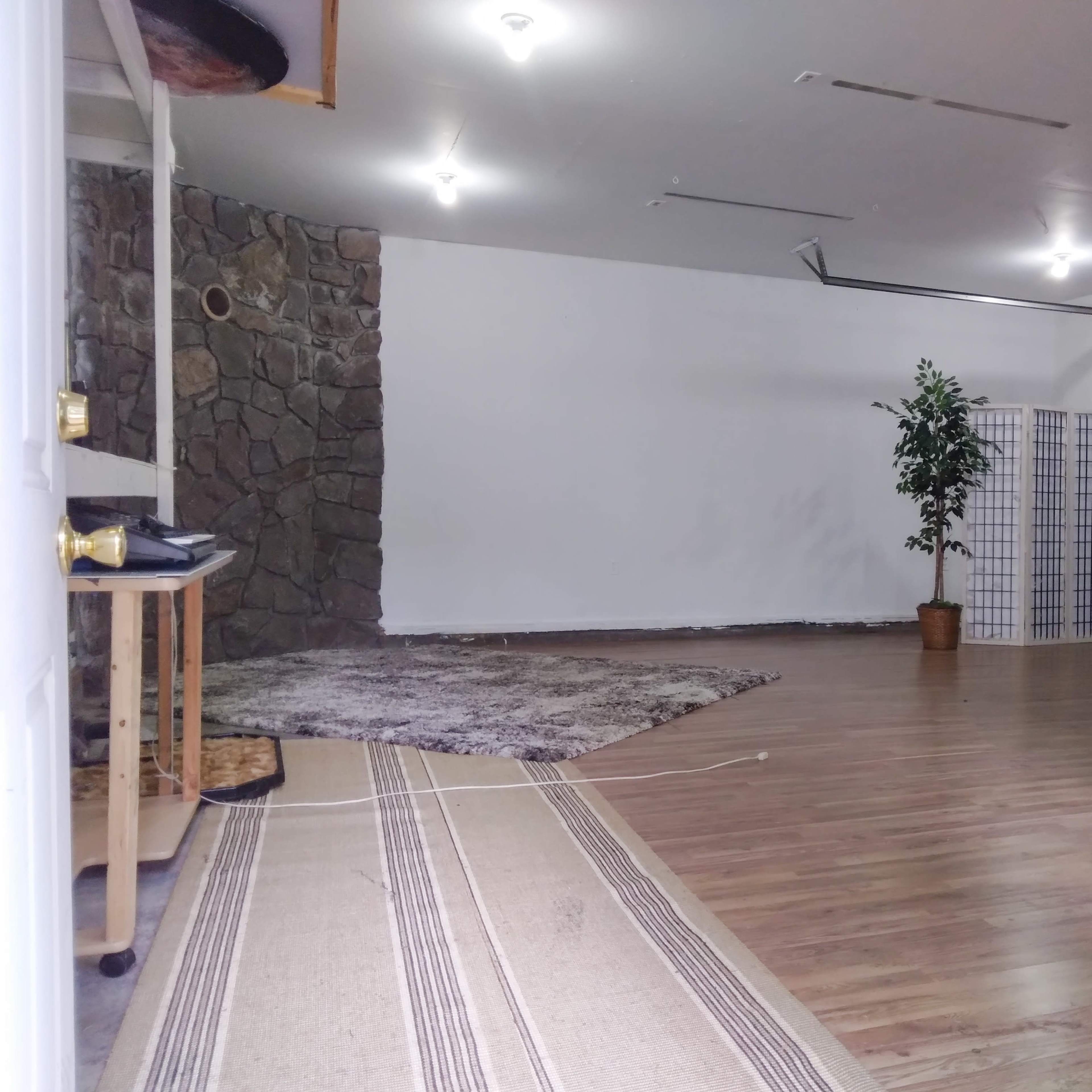 An empty garage space with a stone wall, a potted plant in the corner, and a rolling metal door partially visible.