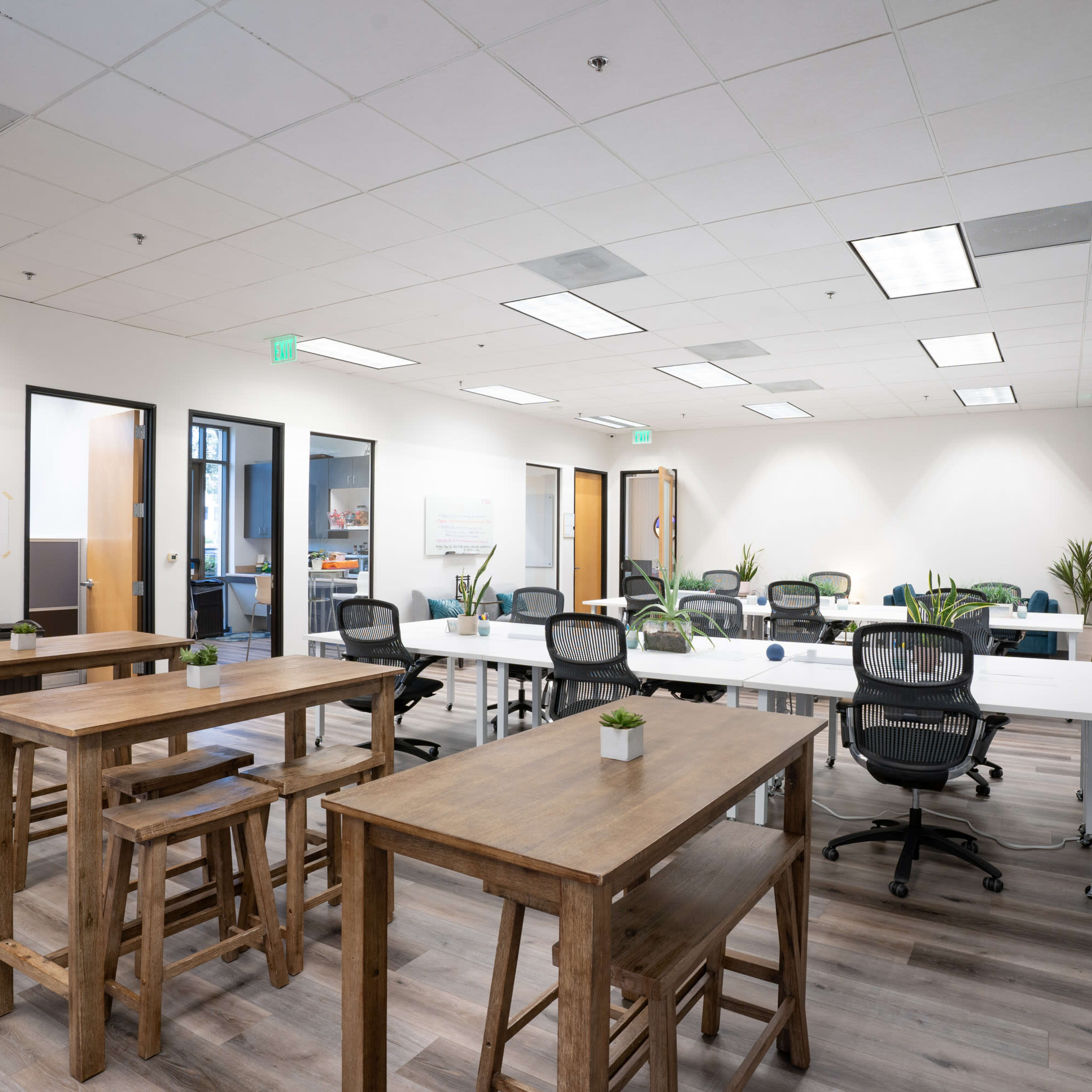 A modern office space with several wooden tables, ergonomic chairs, and plants, featuring large windows that allow natural light to enter.