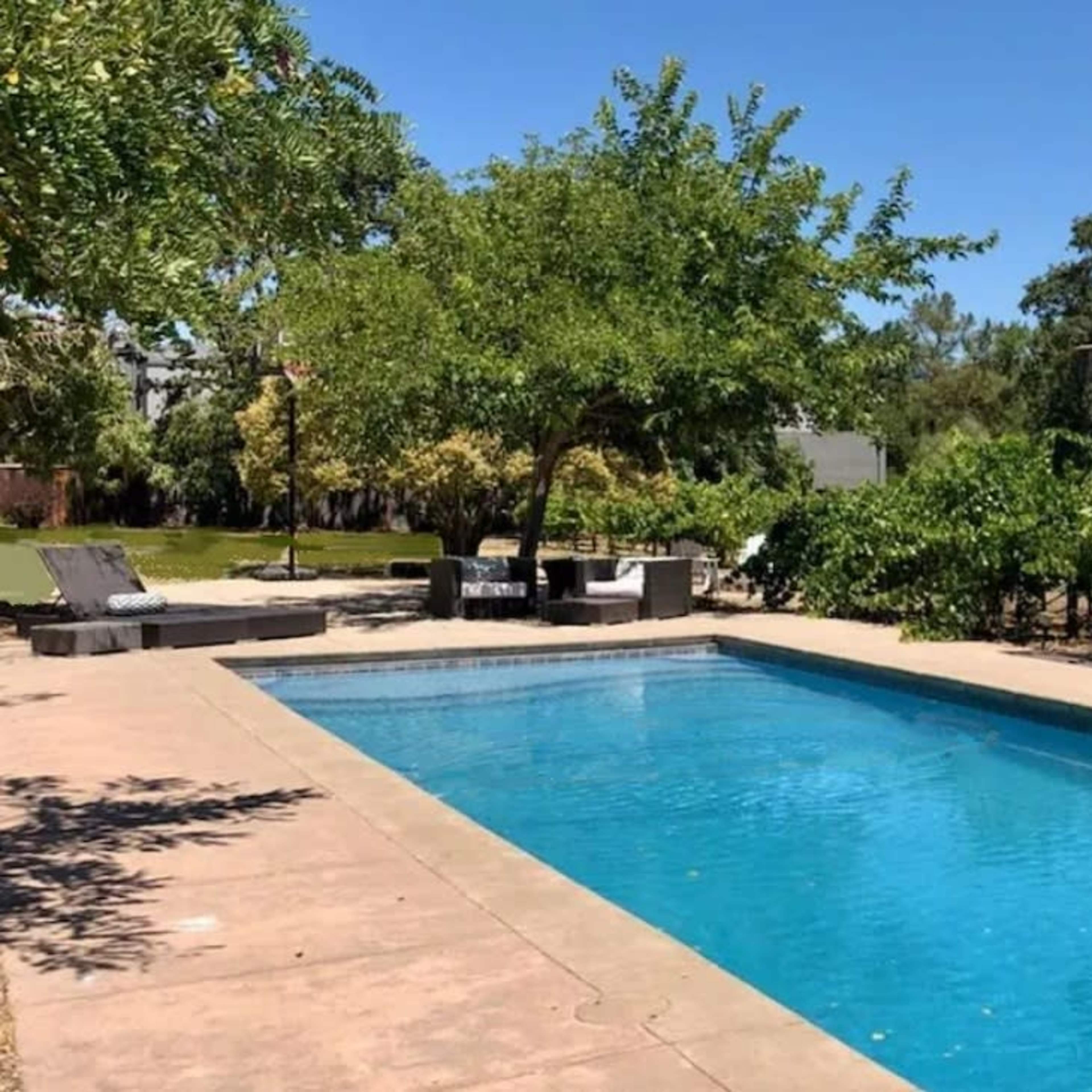 A rectangular swimming pool surrounded by trees and a pergola in a garden setting.