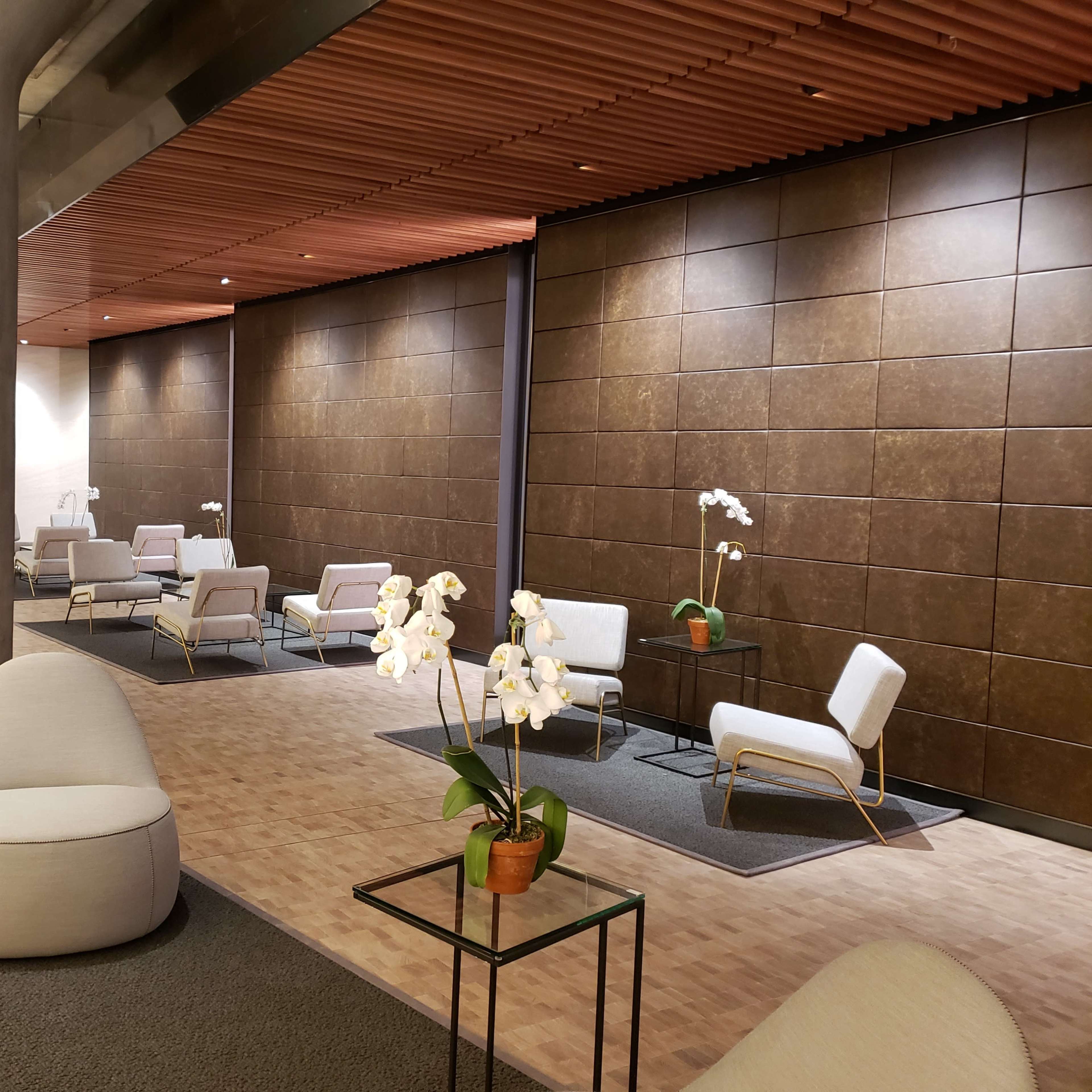 A modern lounge area with beige seating, glass tables, and potted orchids against a backdrop of textured brown walls.