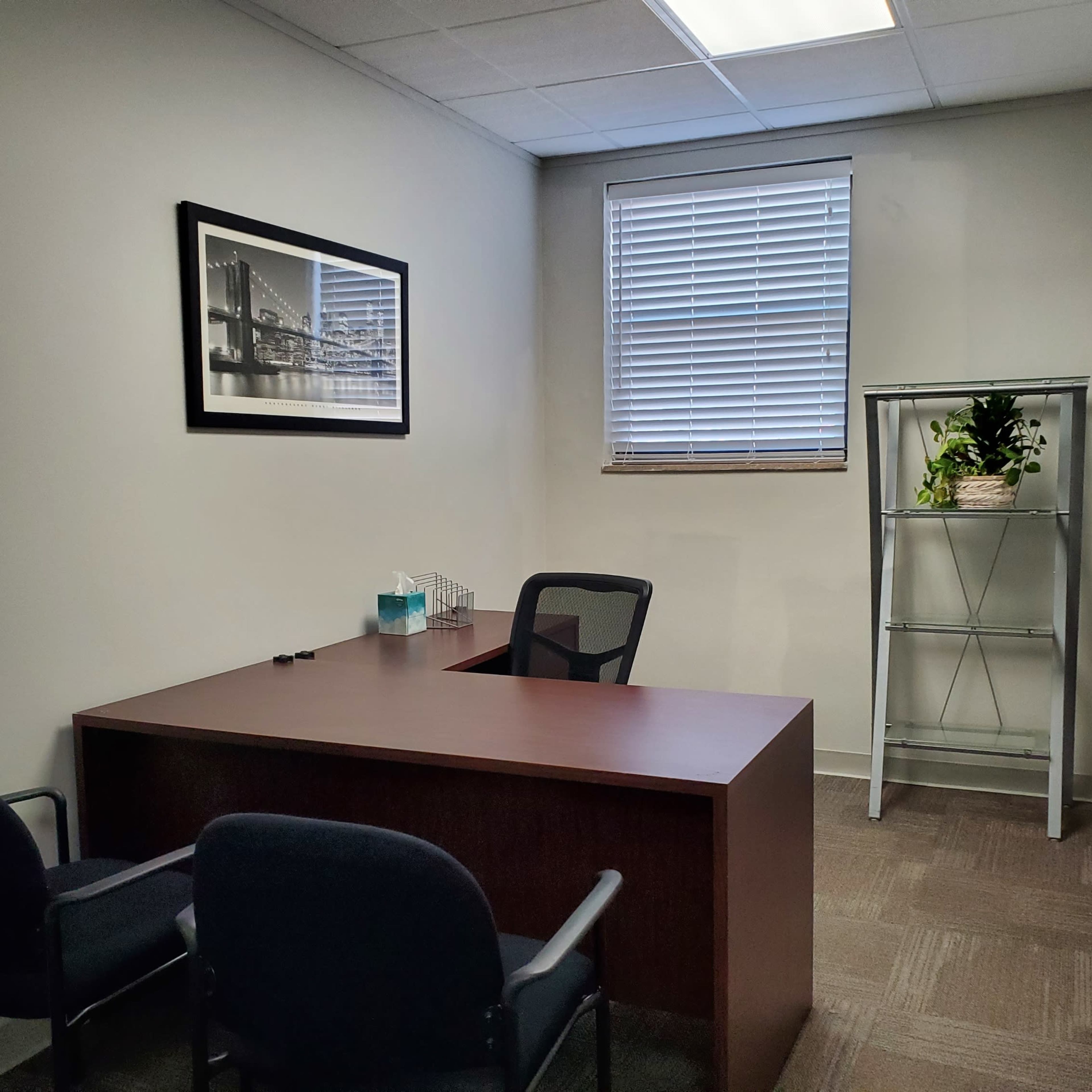 A small office with a wooden desk, two chairs, a shelving unit with a plant, and a framed picture on the wall.