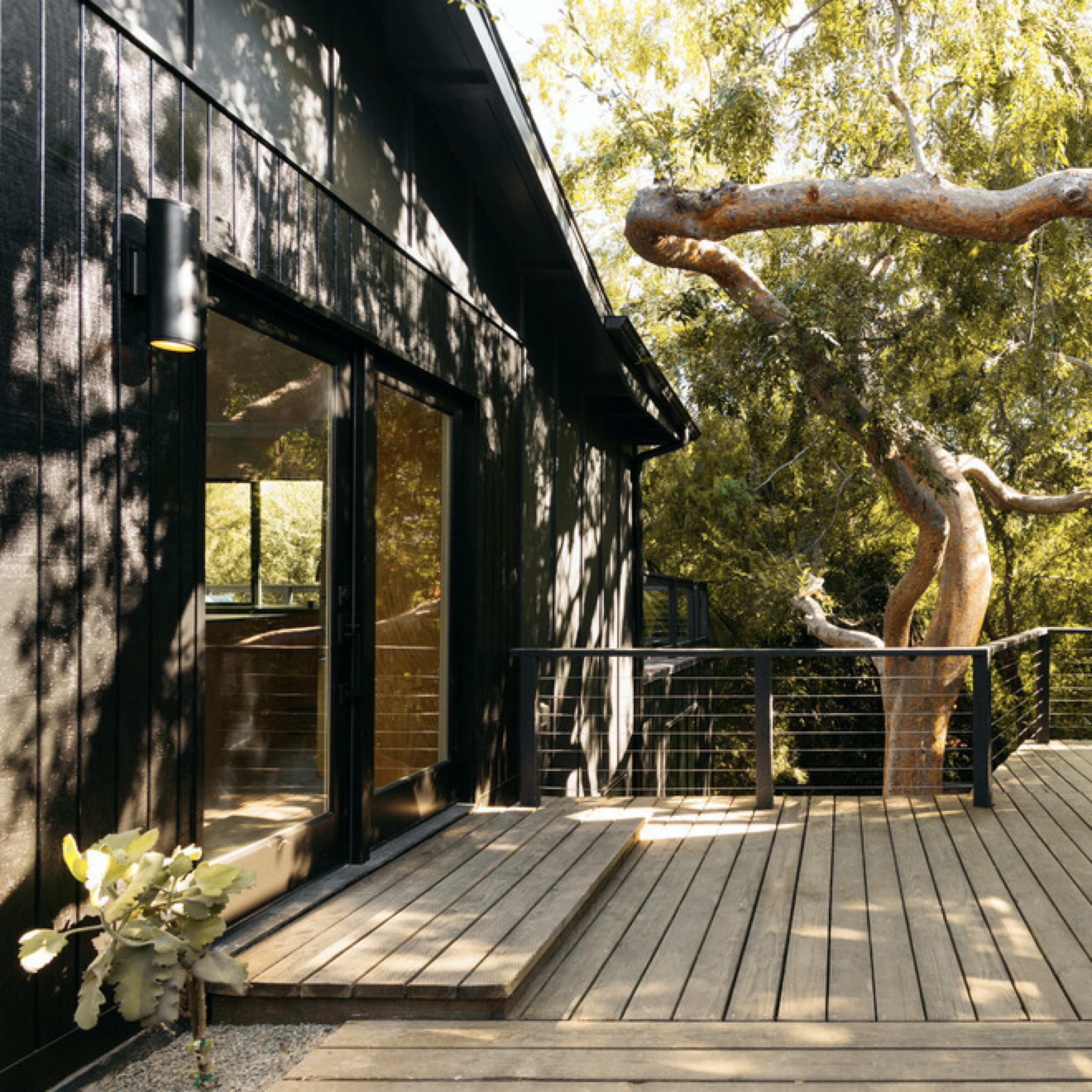 A wooden deck surrounded by two black buildings, featuring an overhanging tree branch and a railing.