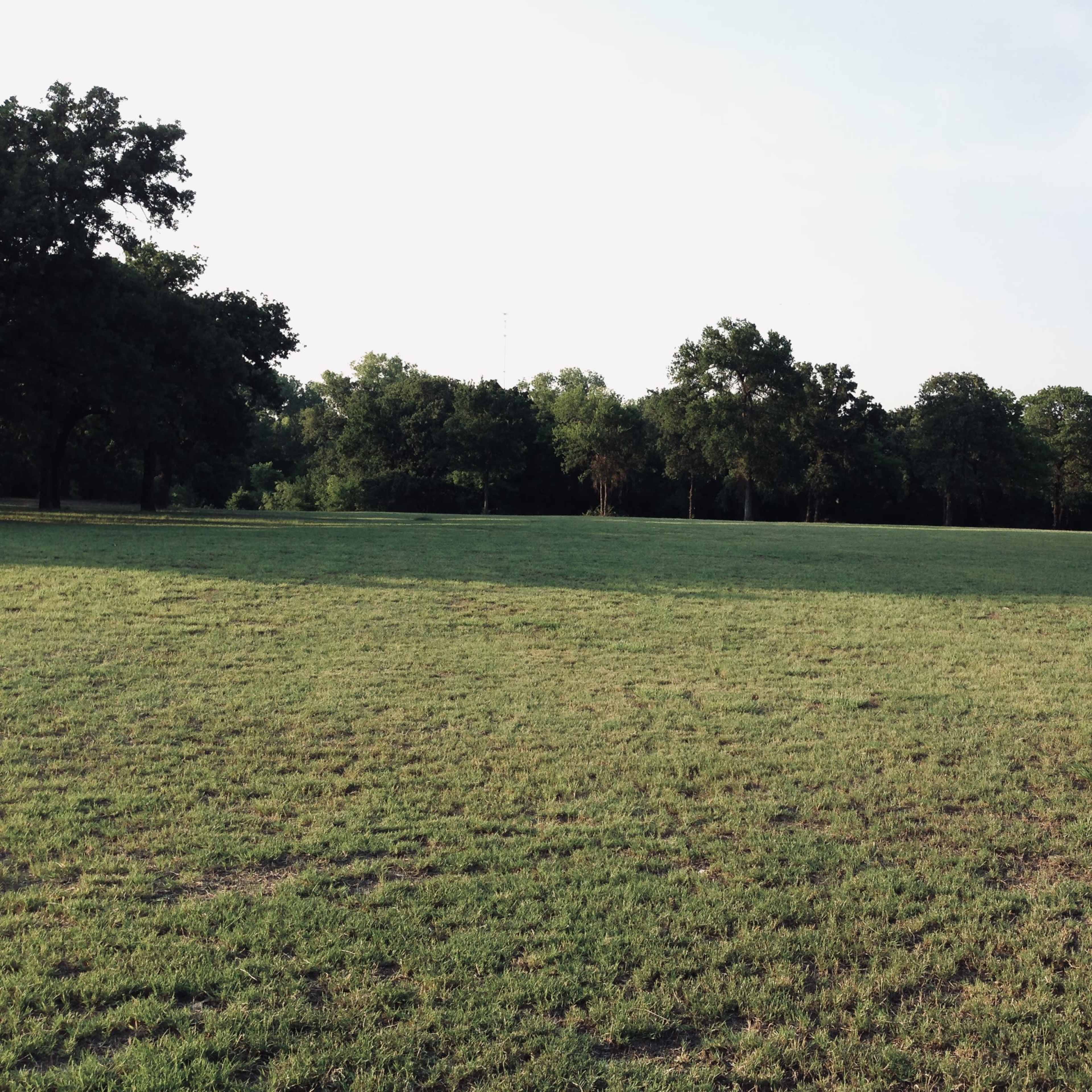A grassy field bordered by trees under a clear sky.