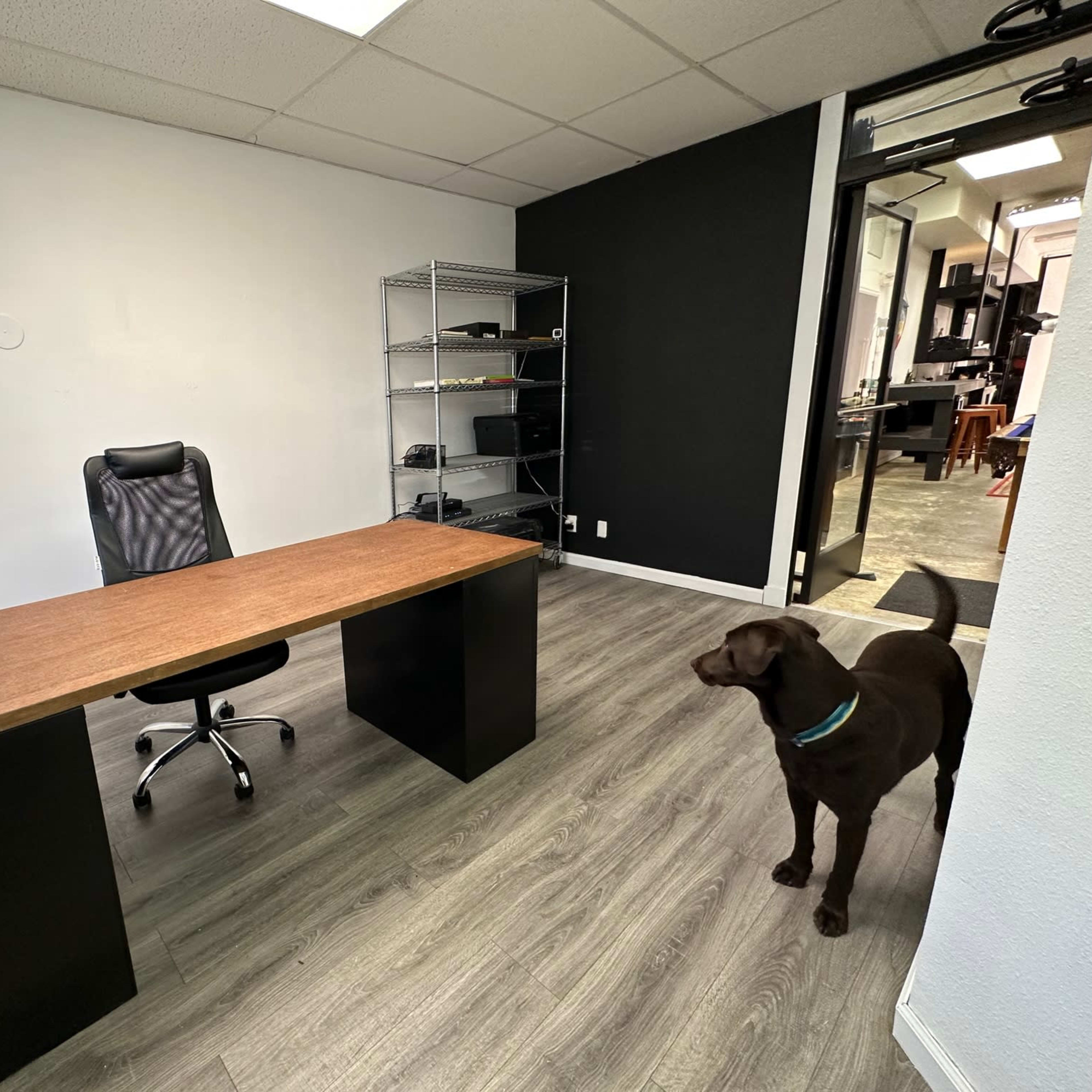 A modern office space with a wooden desk, an office chair, a shelf in the corner, and a dog standing nearby.