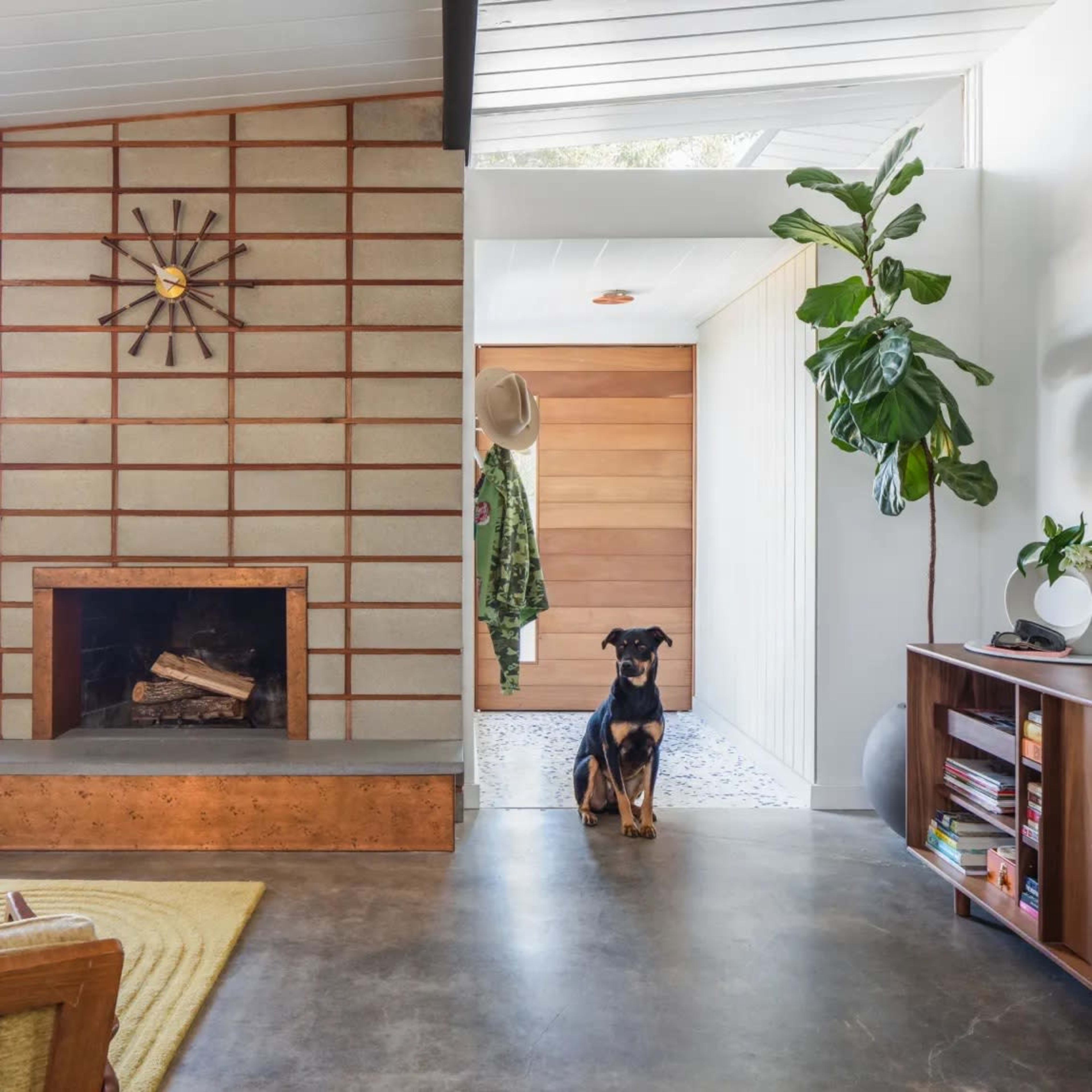 A modern living room with a concrete floor, a wooden fireplace, and a large houseplant, while a dog sits near the entrance.