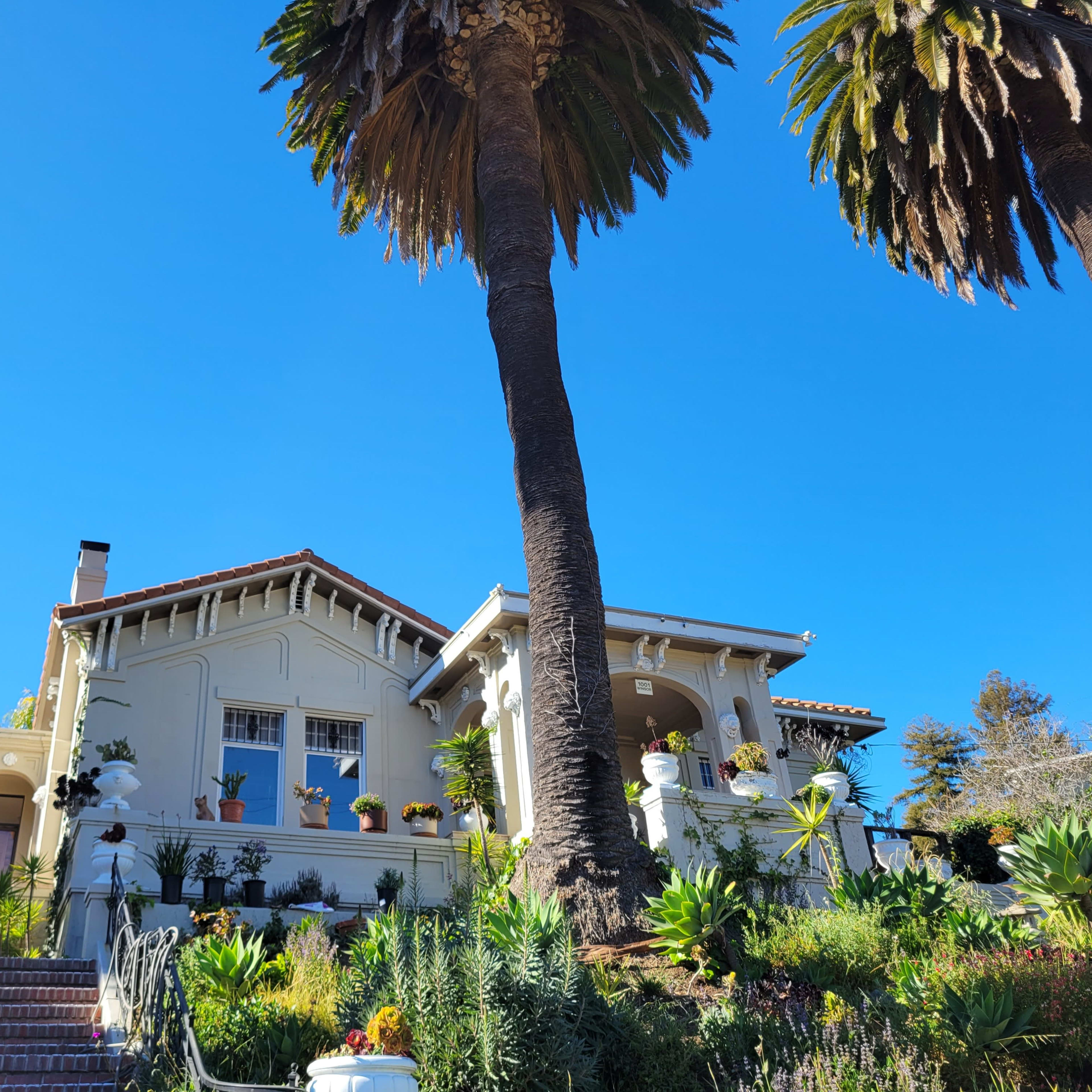 A large two-story house with a front porch is surrounded by tall palm trees and lush greenery against a clear blue sky.