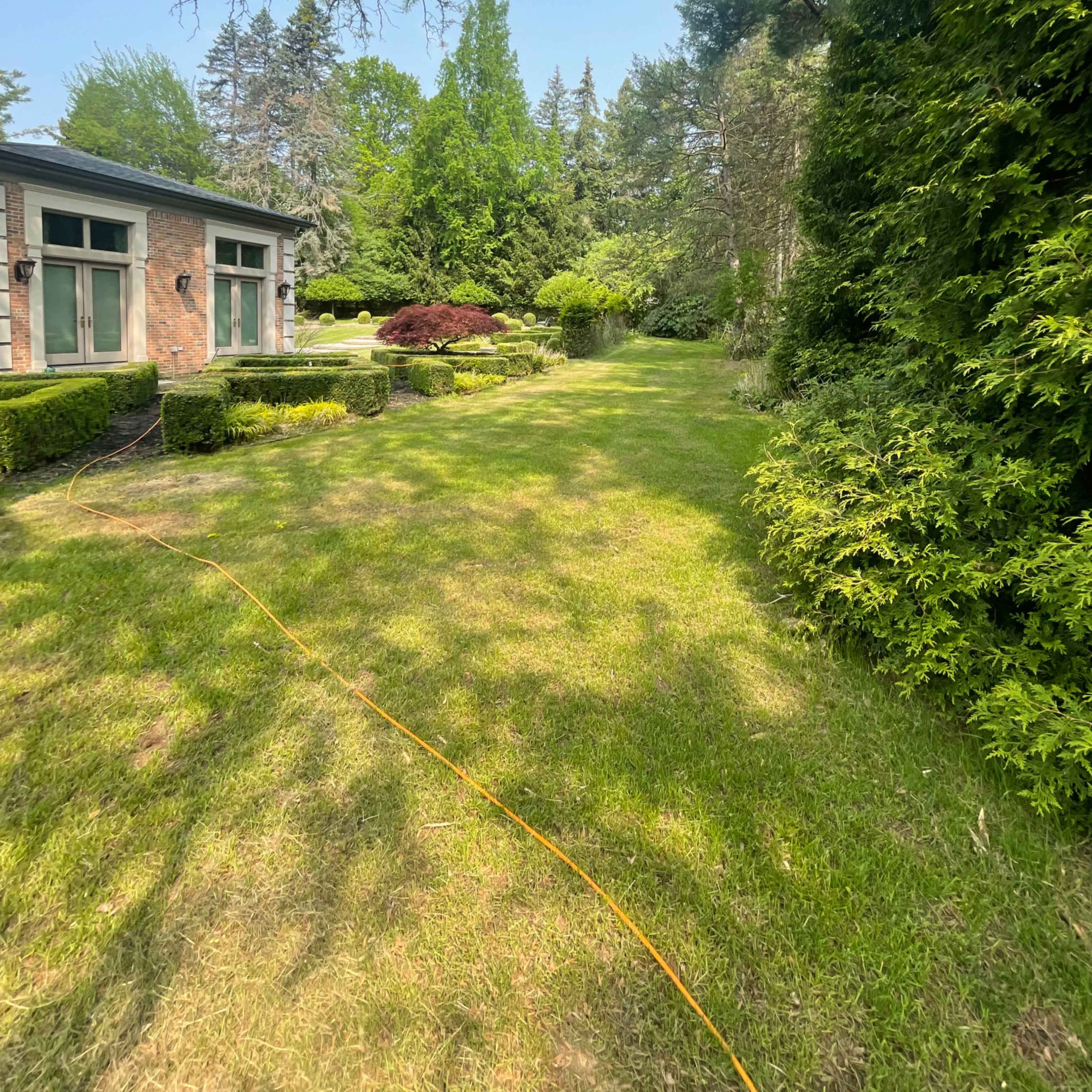 A well-maintained garden pathway leading through lush greenery beside a house.