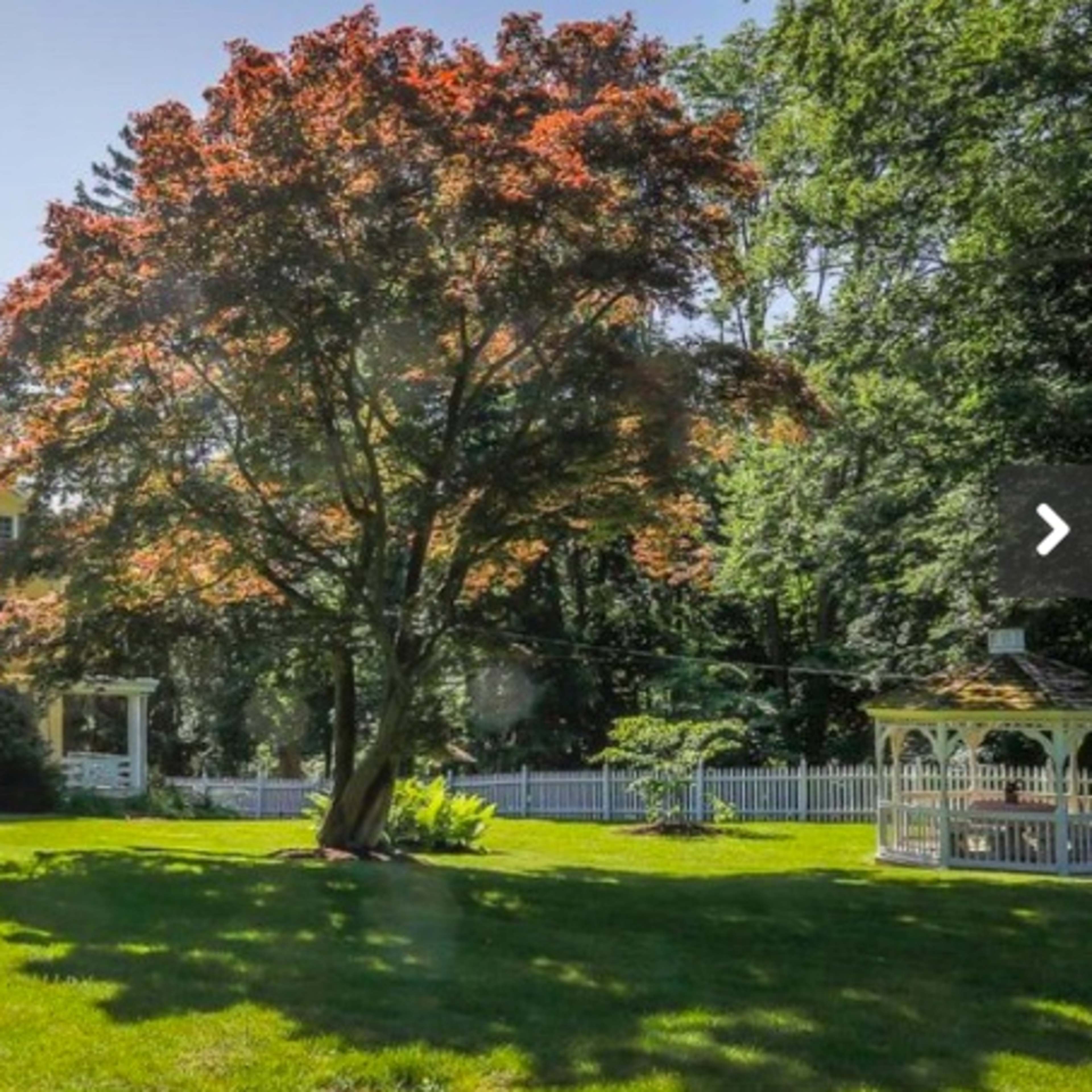A yellow house is set against a backdrop of greenery, featuring a large red-leaved tree and a gazebo in a well-maintained lawn.