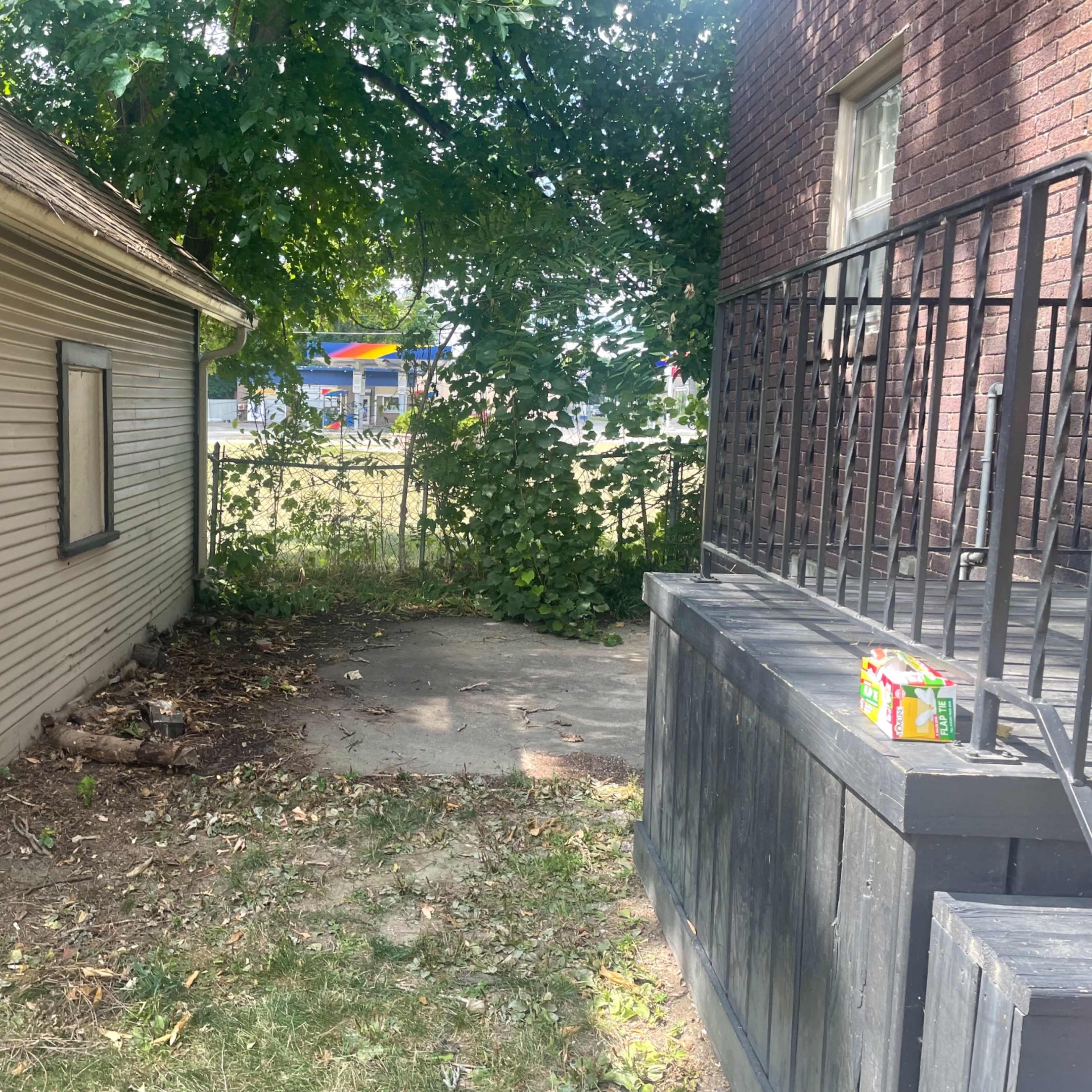 A narrow yard area between two buildings, with overgrown grass and bushes, and a visible concrete patch.