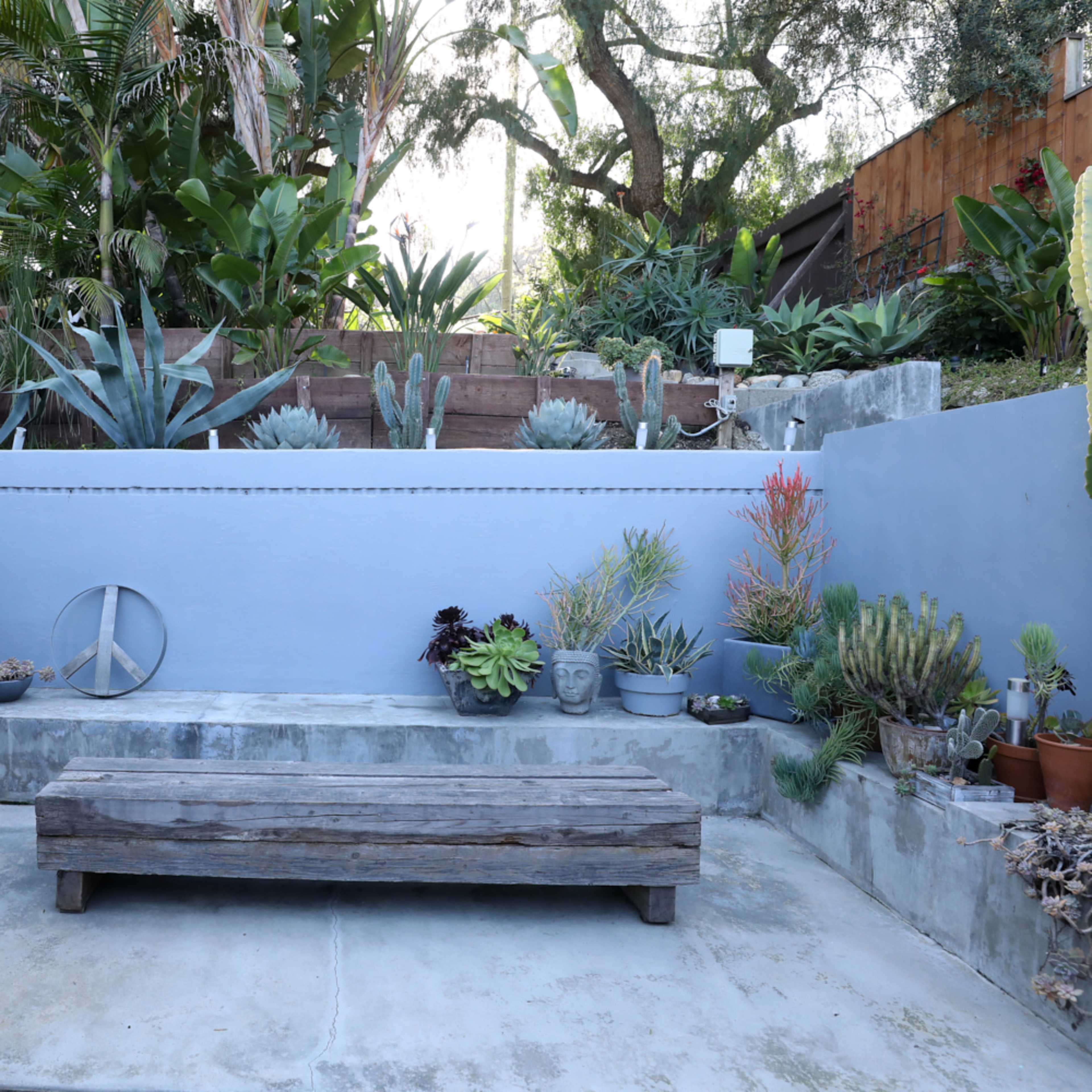 A concrete patio area with a wooden bench, surrounded by various potted succulents and cacti against a backdrop of a gray wall.