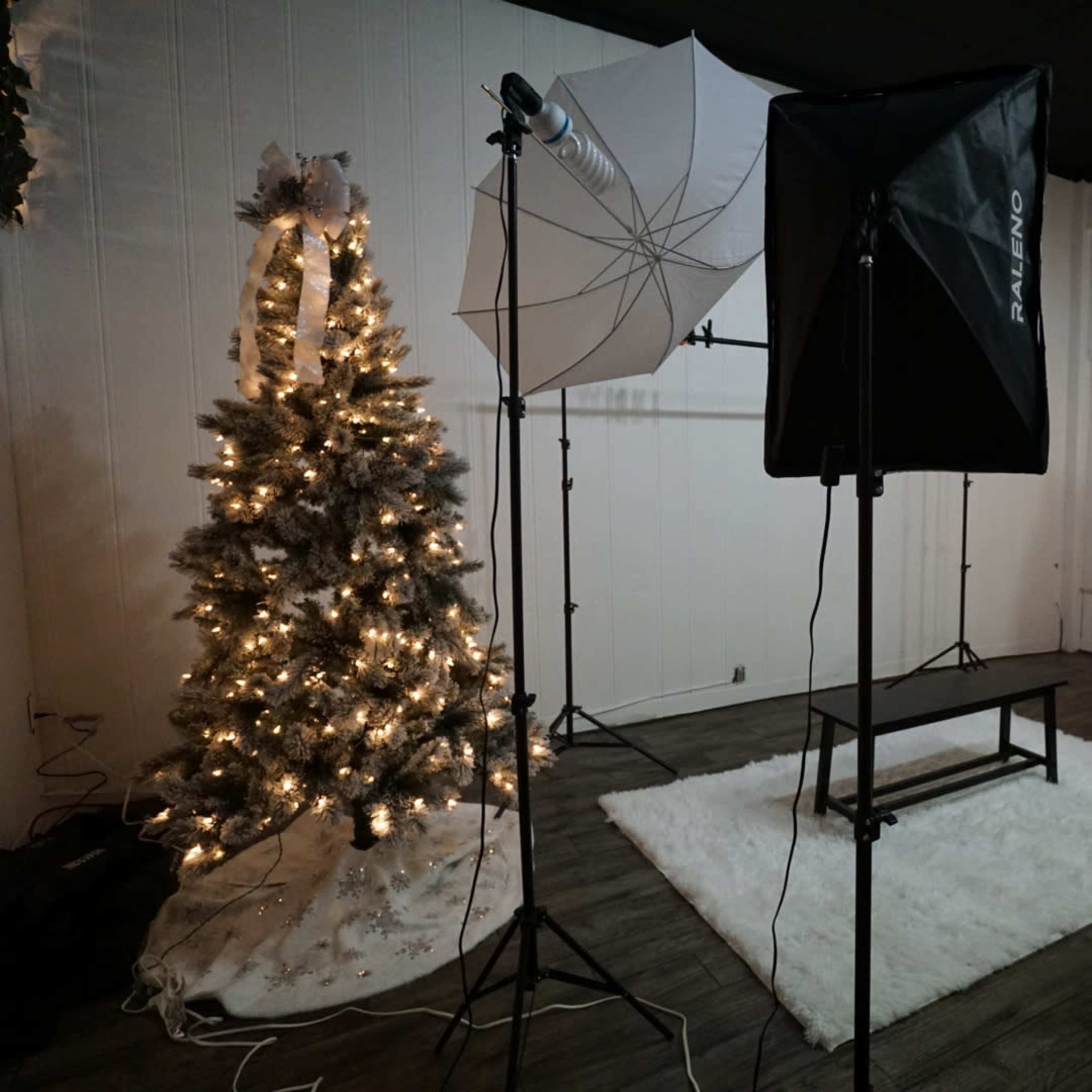A photography studio featuring two lit Christmas trees on either side of a white faux fur rug, with lighting equipment arranged in the center.