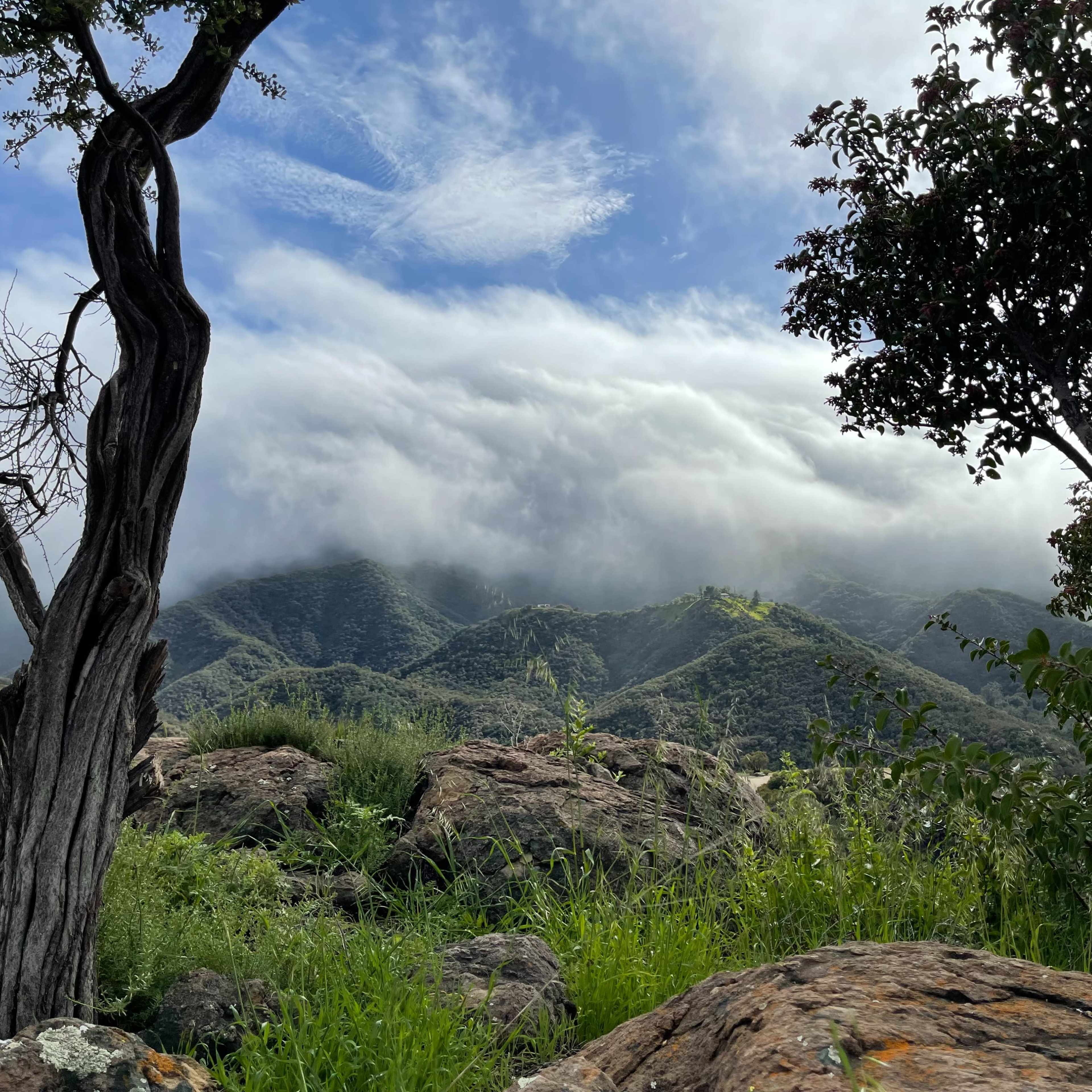 A view of rolling mountains partially obscured by clouds, with rugged rocks and scattered trees in the foreground.
