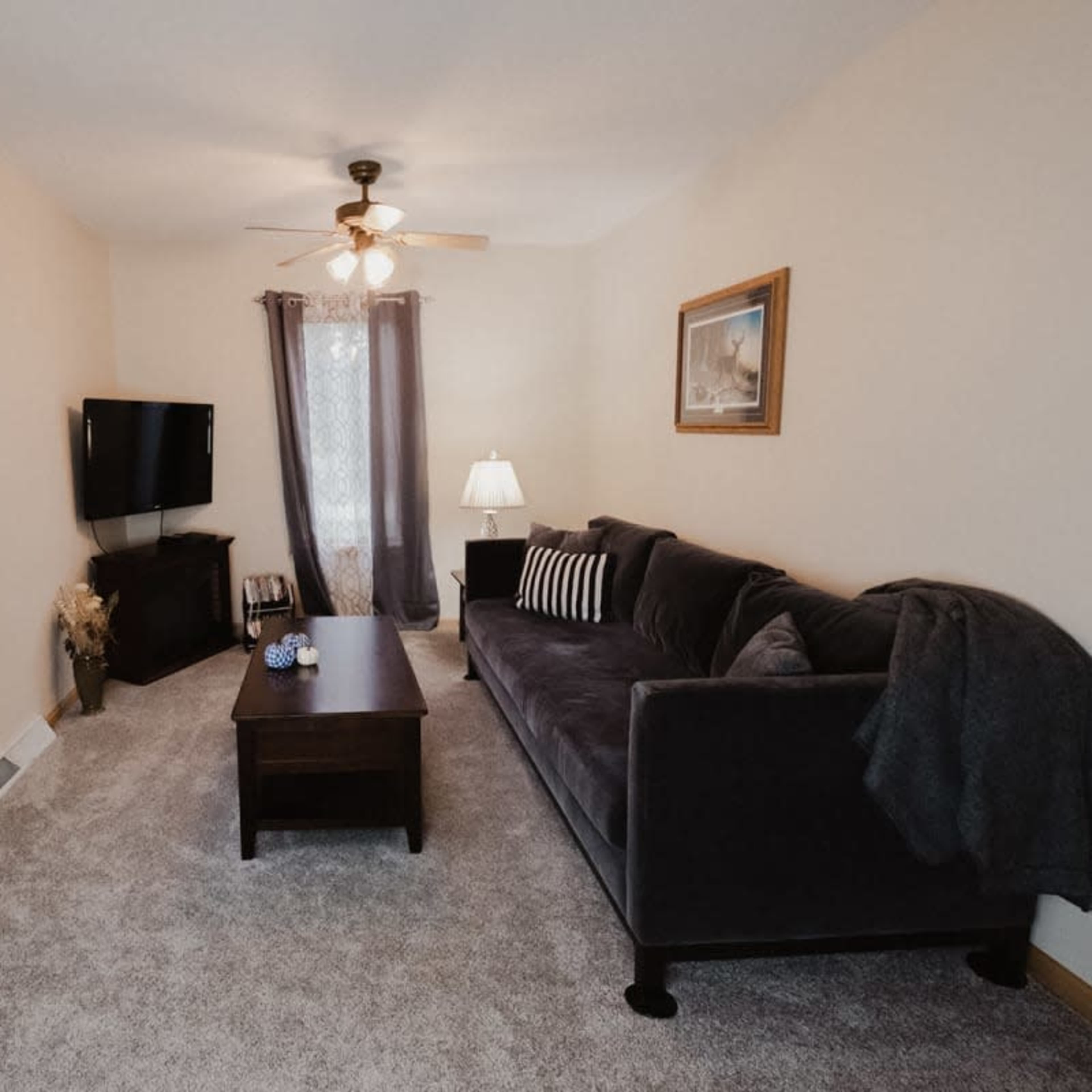 A cozy living room featuring a gray sofa, a wooden coffee table, a television, and a door leading outside.