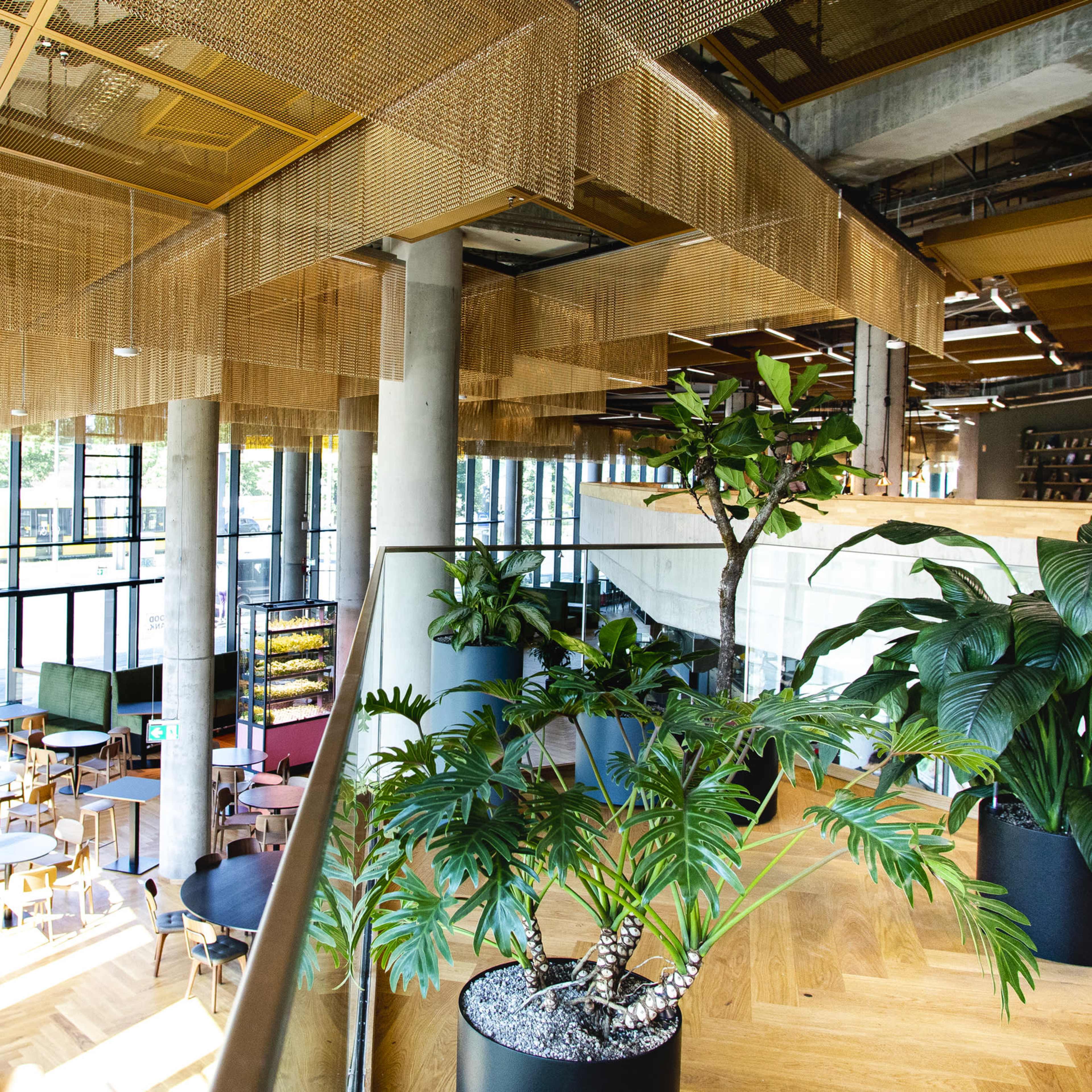 Restaurant - Event space Bild in Moabit, Berlin, BE