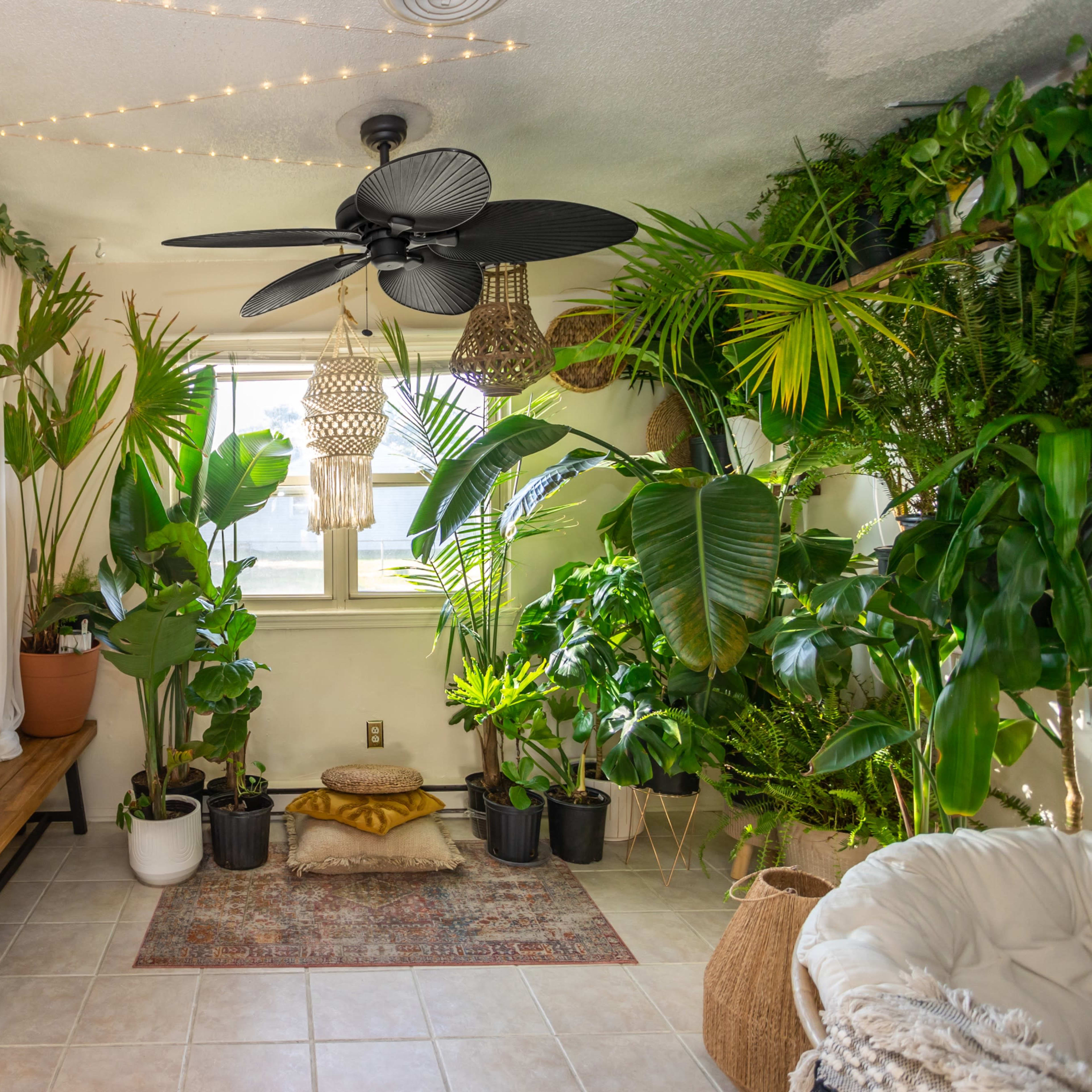 A bright indoor space filled with various potted plants, a kitchen area with a bench, and decorative lighting.