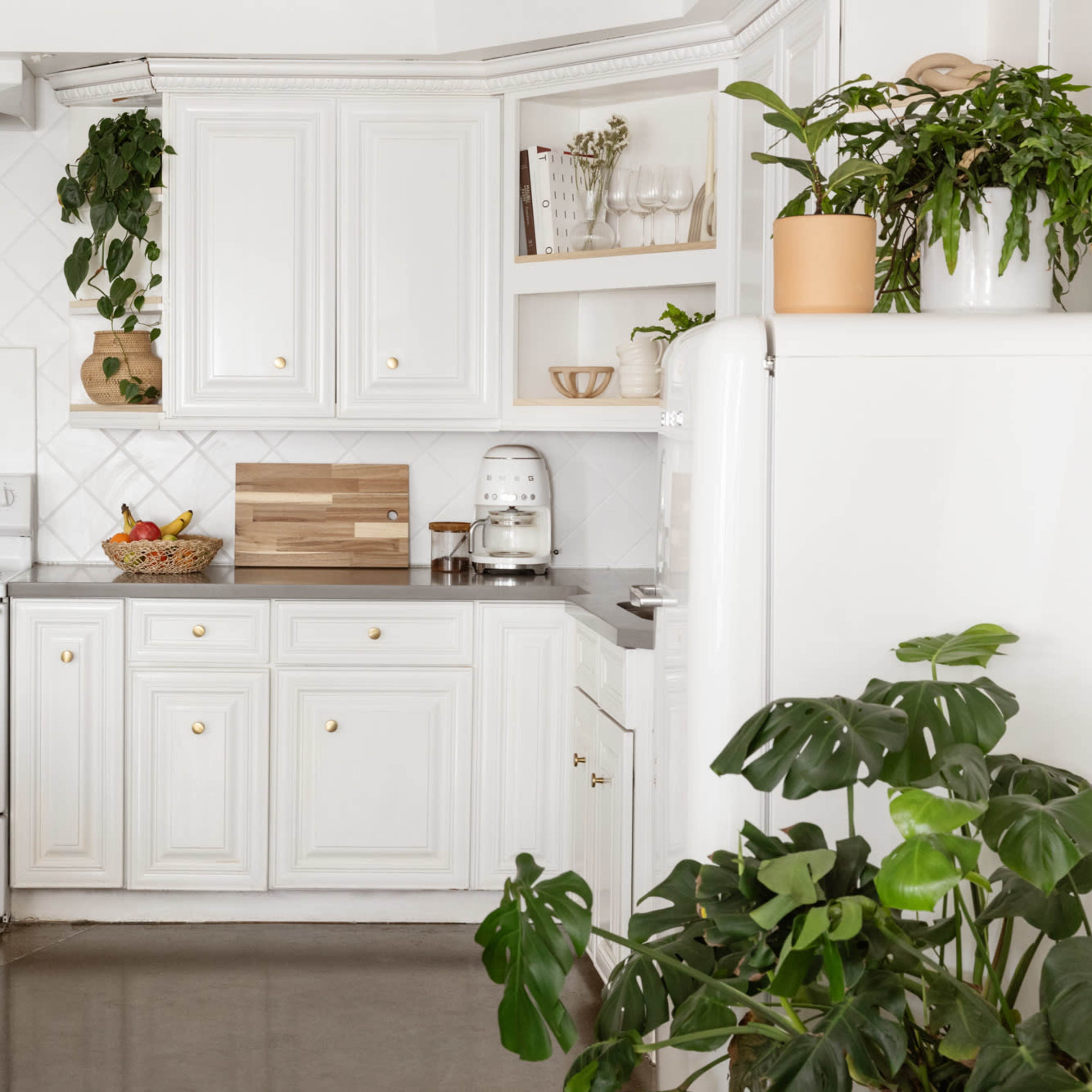 A modern kitchen features white cabinetry, a stove, and various plants on the shelves and countertops.