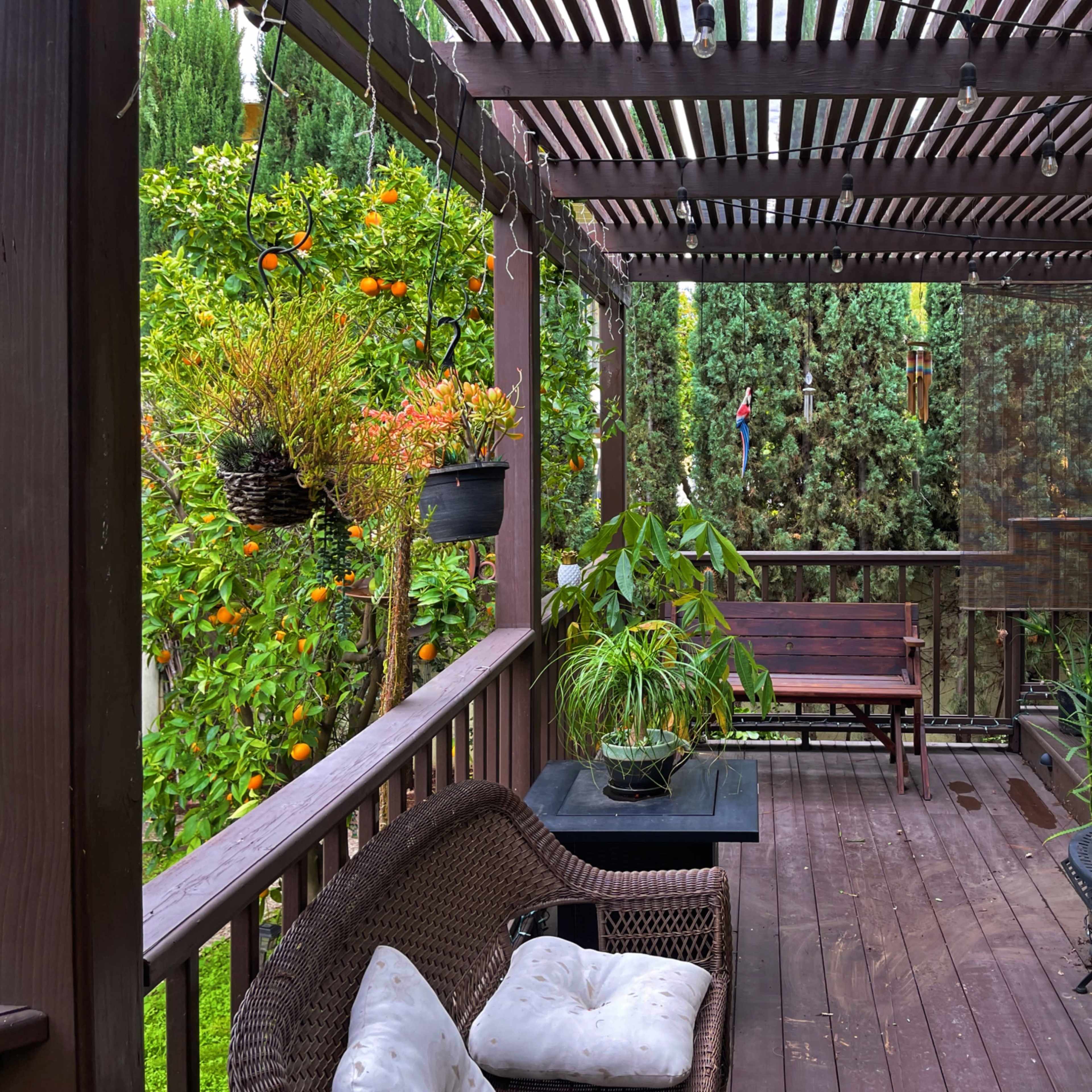 A wooden porch with a table and chairs, surrounded by potted plants and greenery, under a pergola with hanging lights.