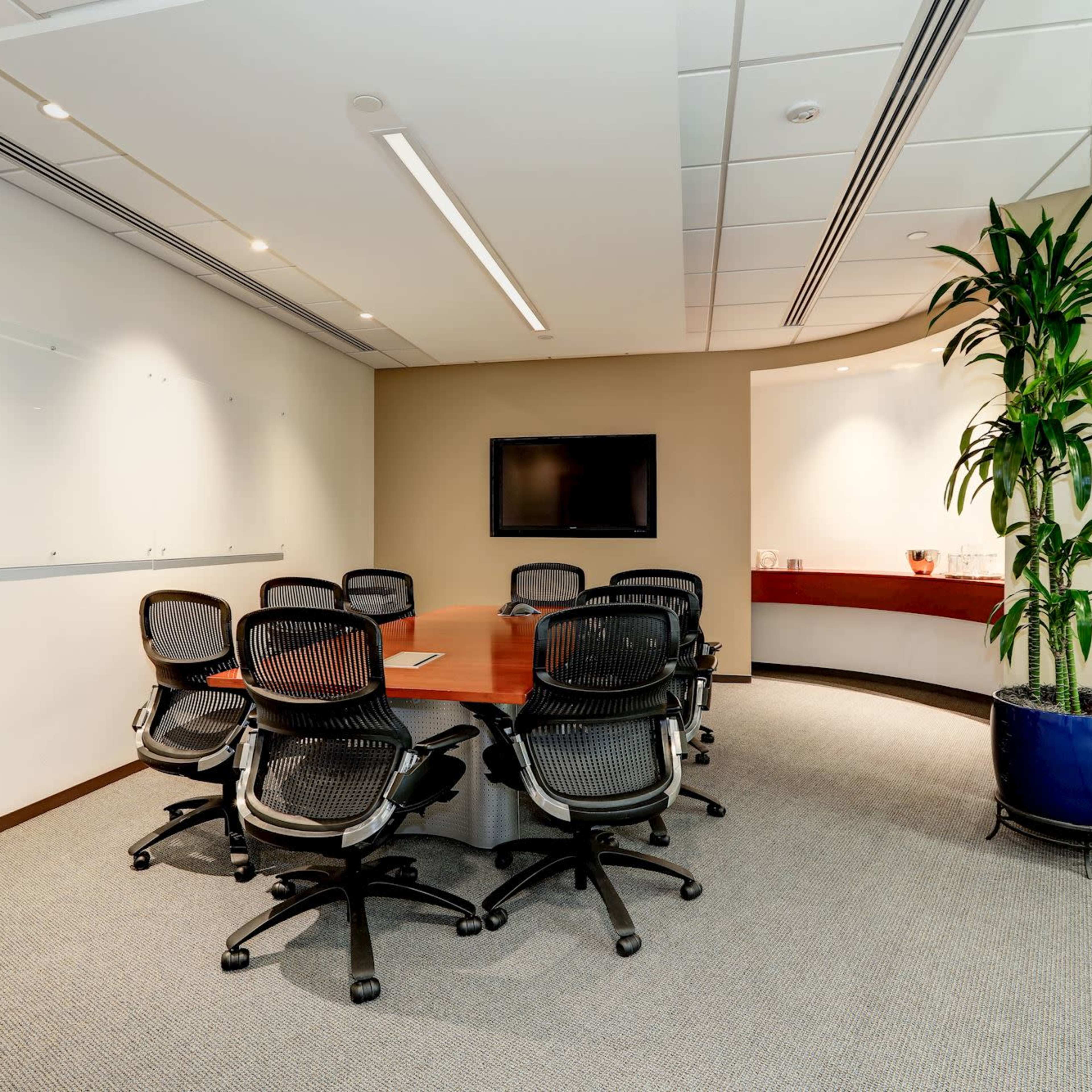 A modern conference room features a large wooden table surrounded by black mesh chairs, with a television mounted on the wall and a potted plant in the corner.