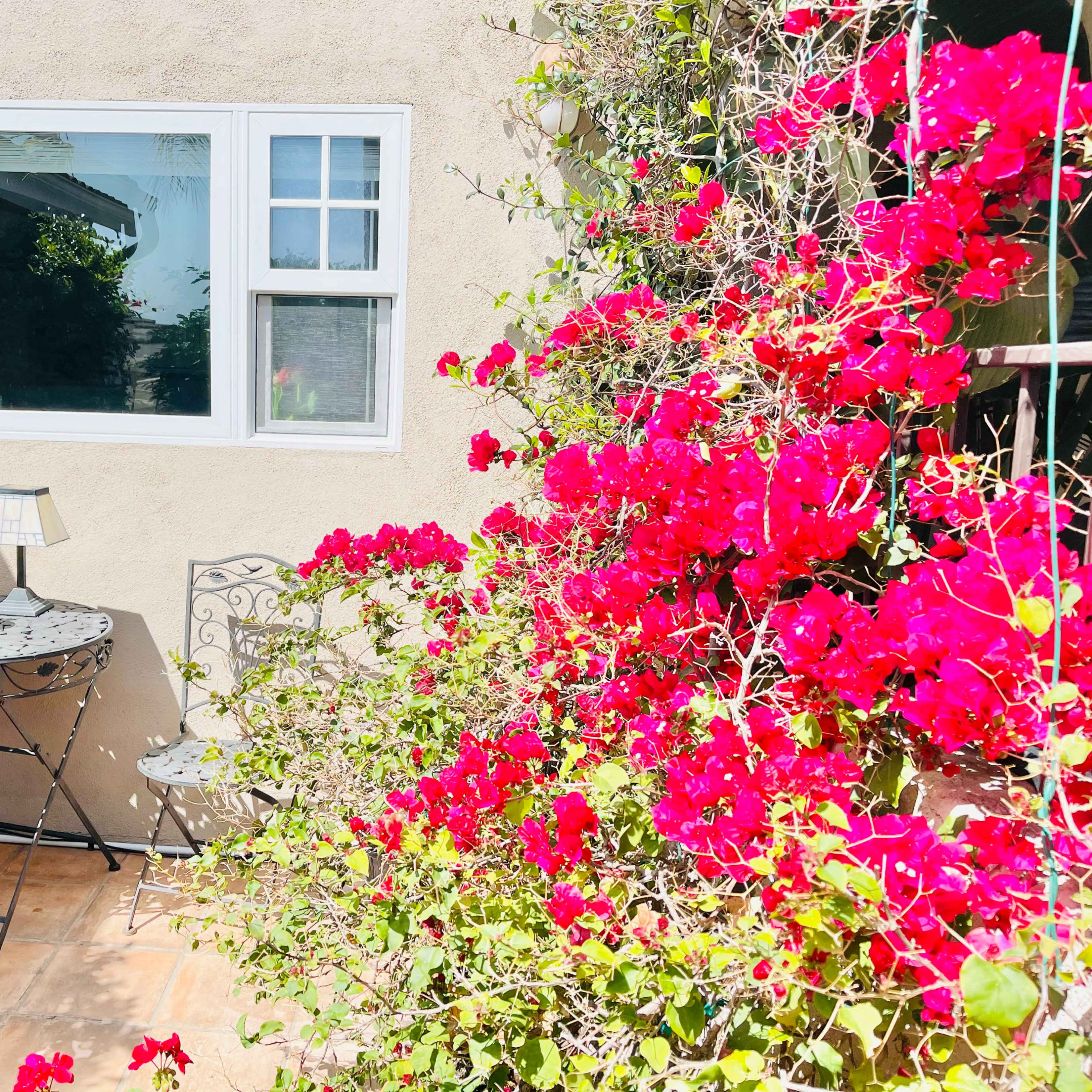 A small outdoor seating area features a table and two chairs beside a wall of vibrant bougainvillea.