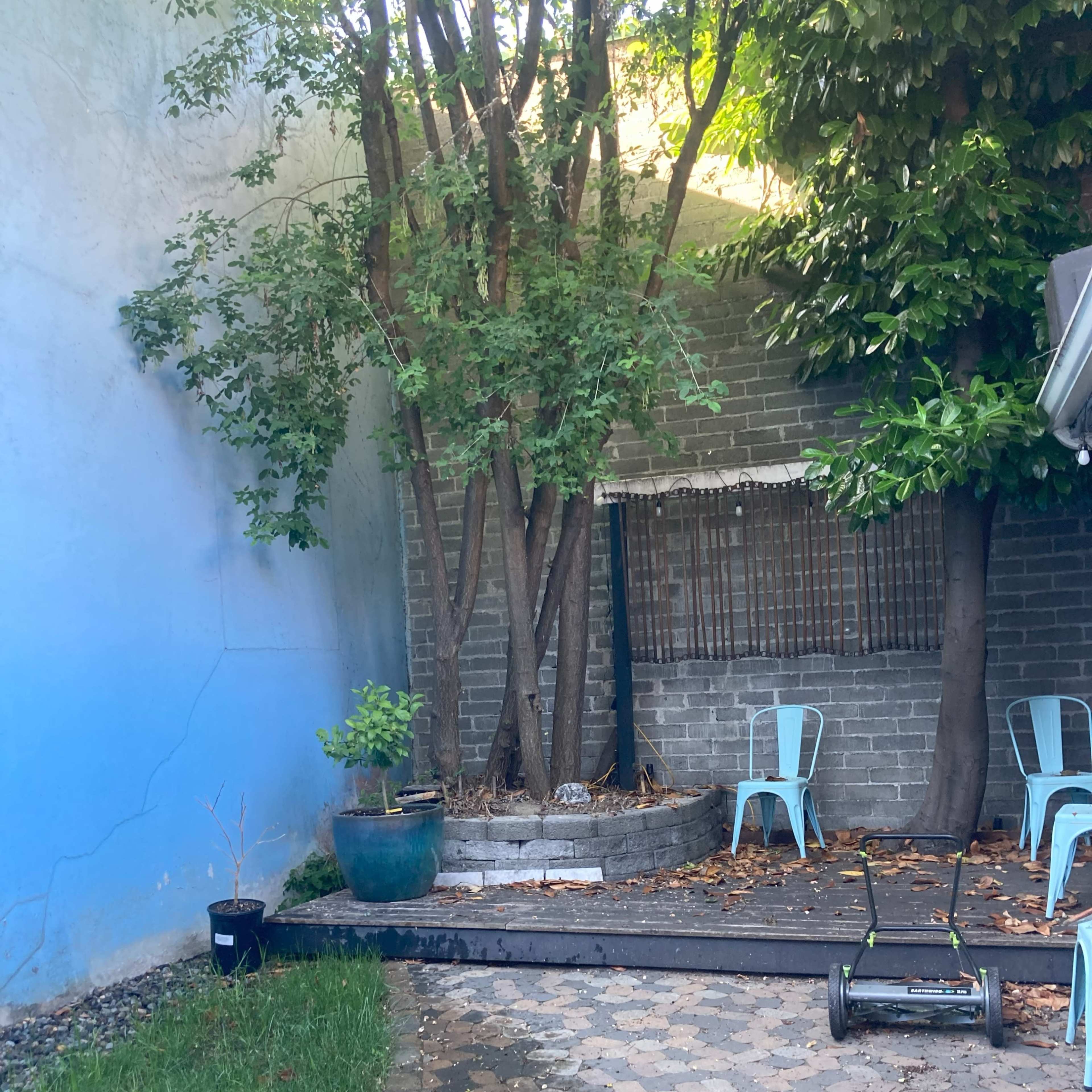 Intimate Courtyard and Cozy Art Studio in Historic Small Town Image in Mount Vernon, Mount Vernon, WA