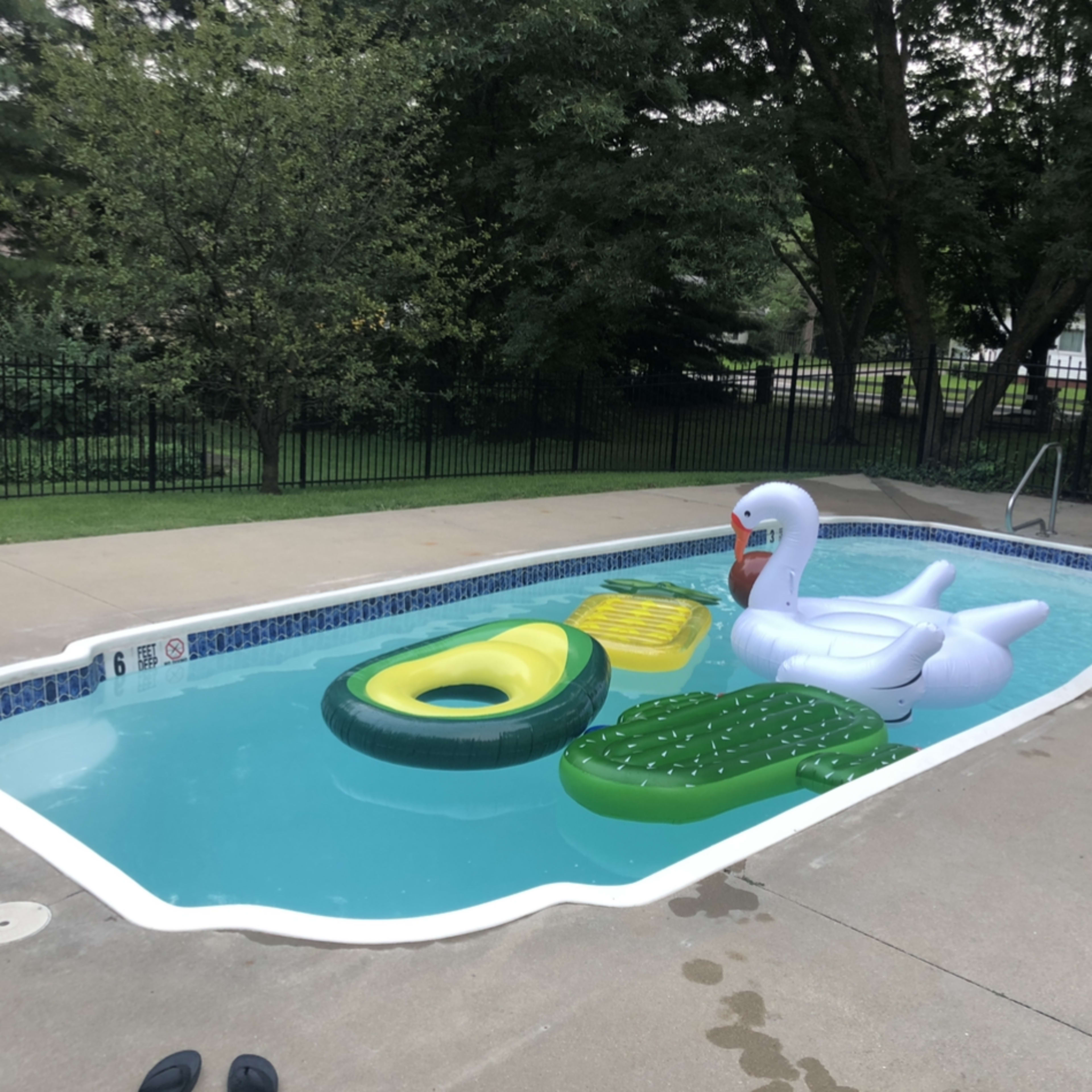The scene features a swimming pool with a white swan float and other colorful inflatables on the water, surrounded by a fenced backyard.