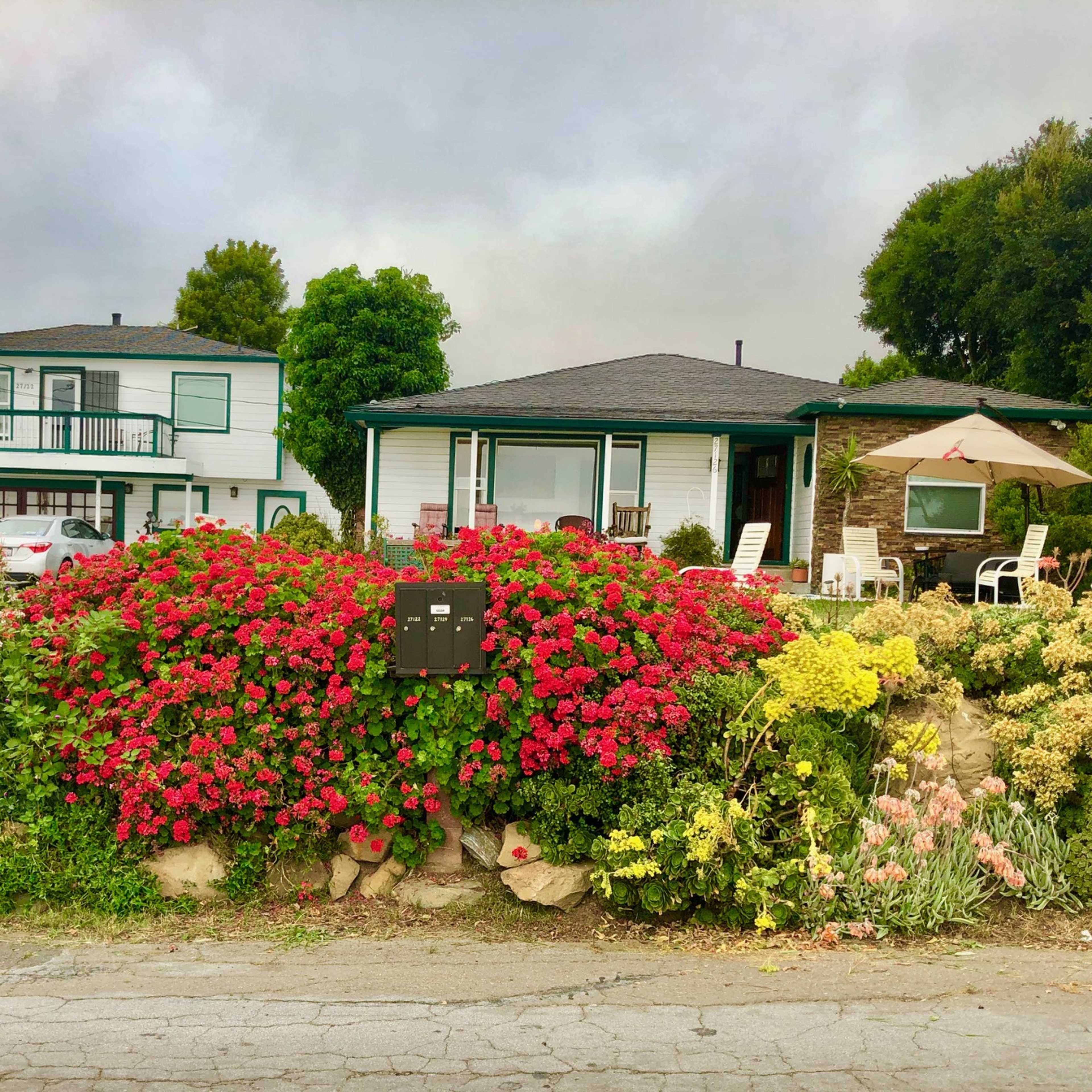 Two houses are situated behind a colorful flower bed along a gravel road.