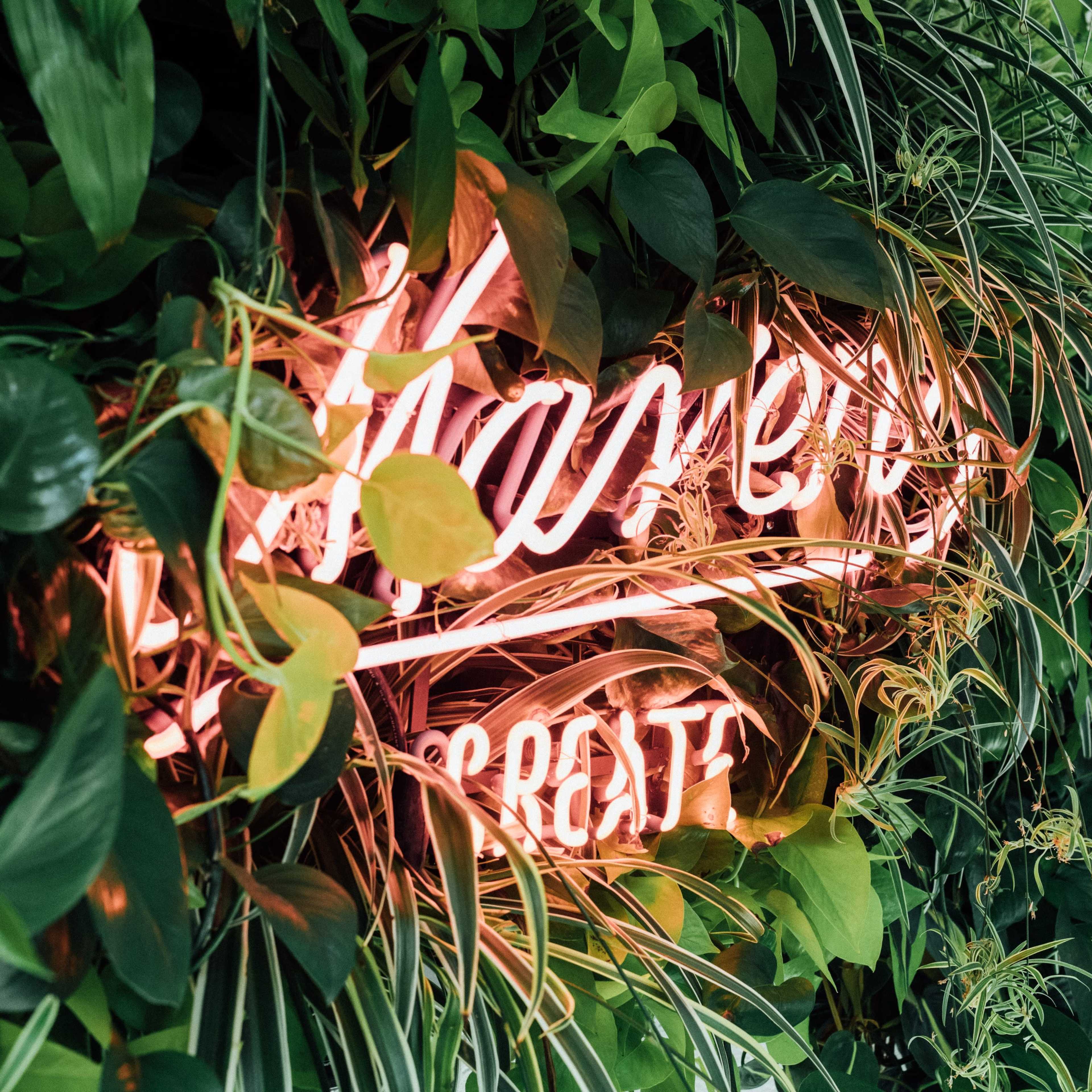 A neon sign displaying the word "Harvest" is partially obscured by lush green foliage.