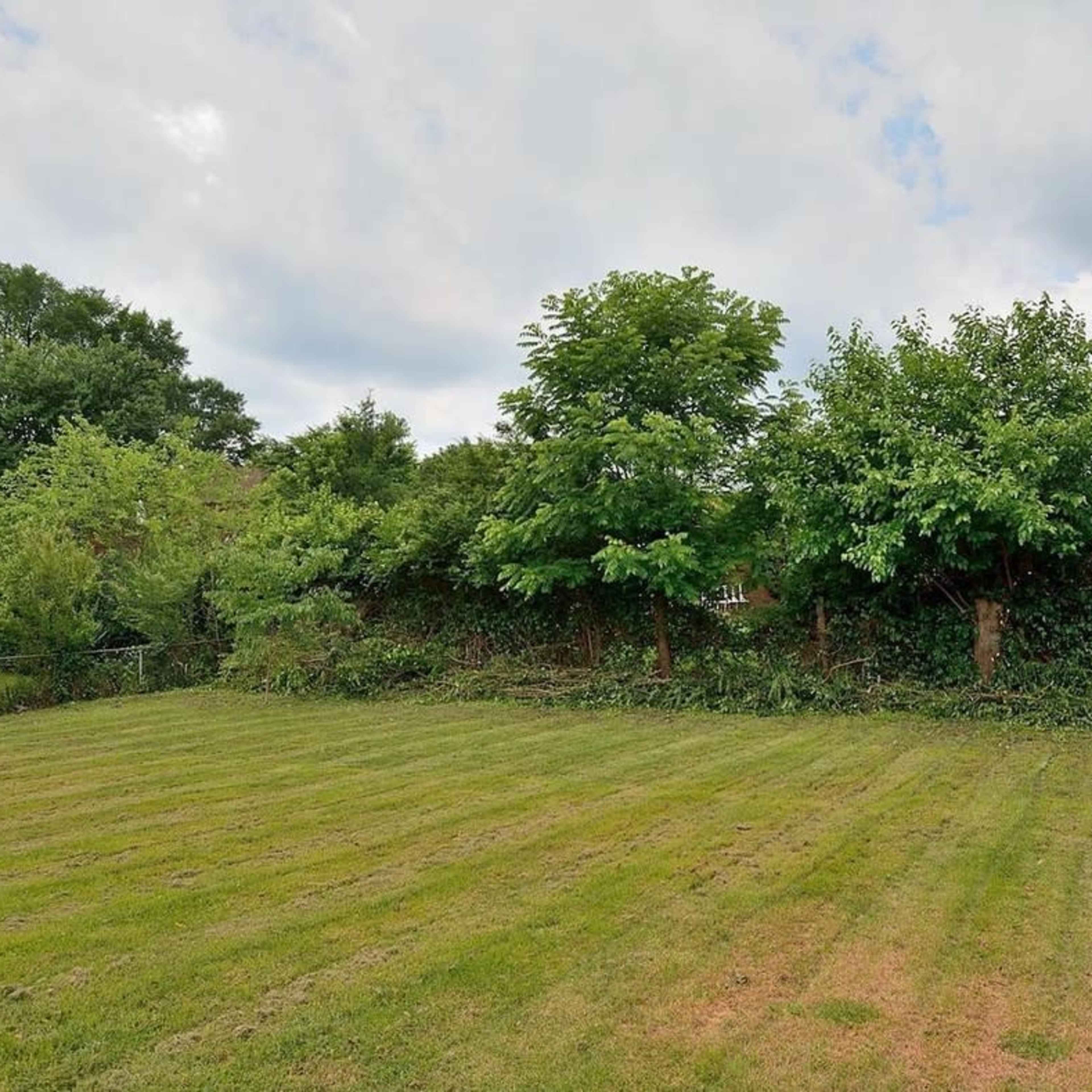 A grassy lawn with neatly mowed stripes is bordered by a line of trees and shrubbery in the background.