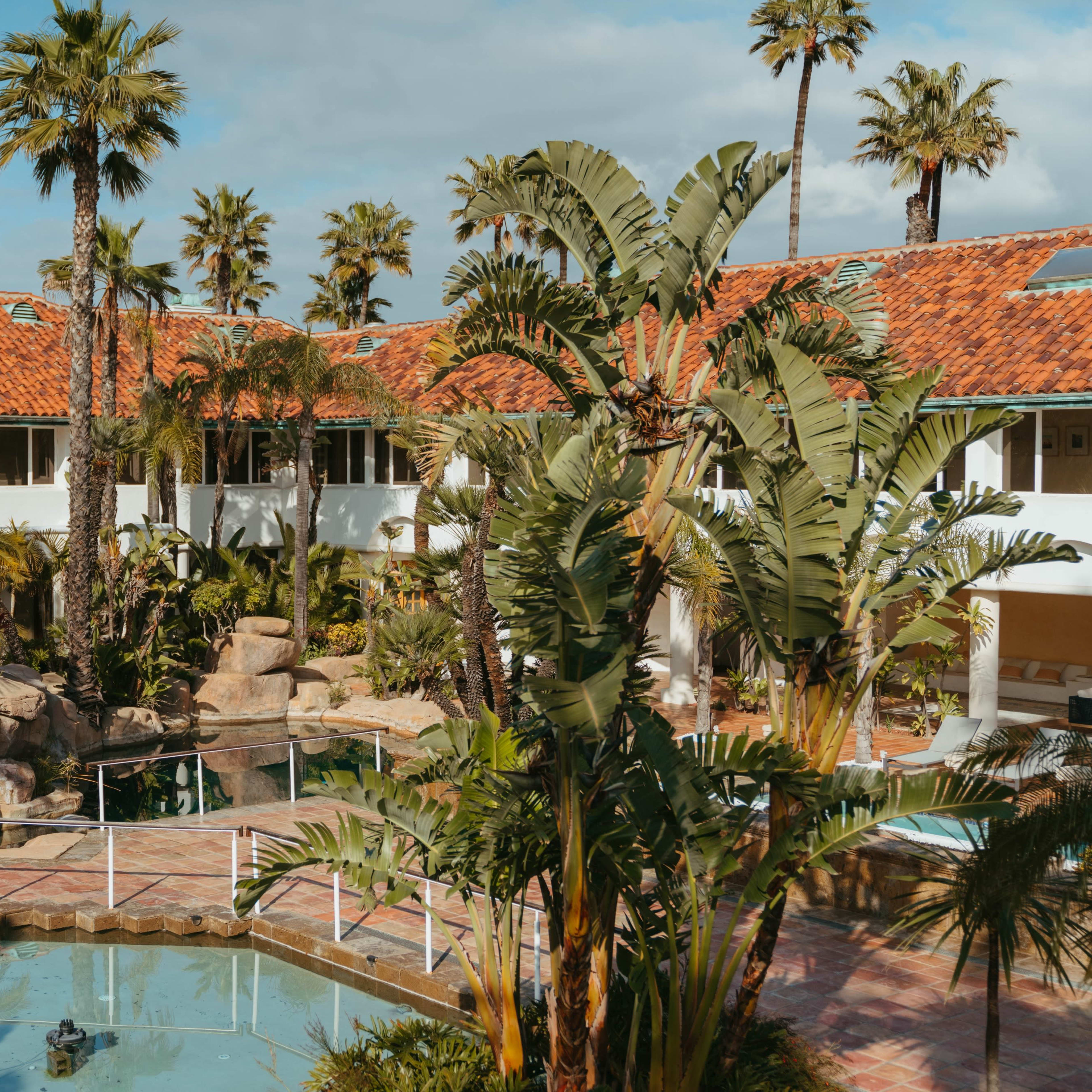 A tropical resort features a pool surrounded by palm trees and rock formations, with a building in the background.