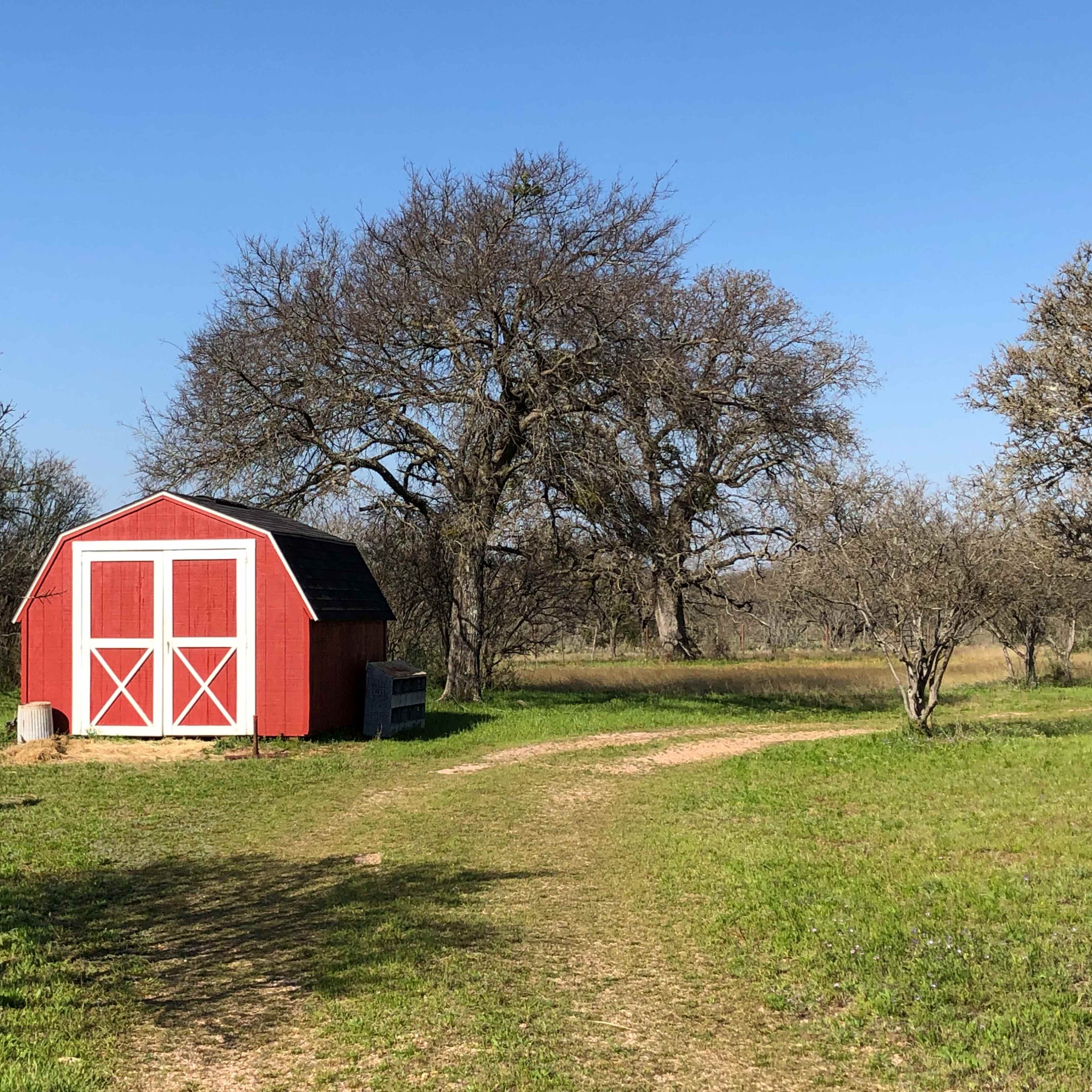 A red barn with white doors stands at the edge of a grassy path surrounded by bare trees.