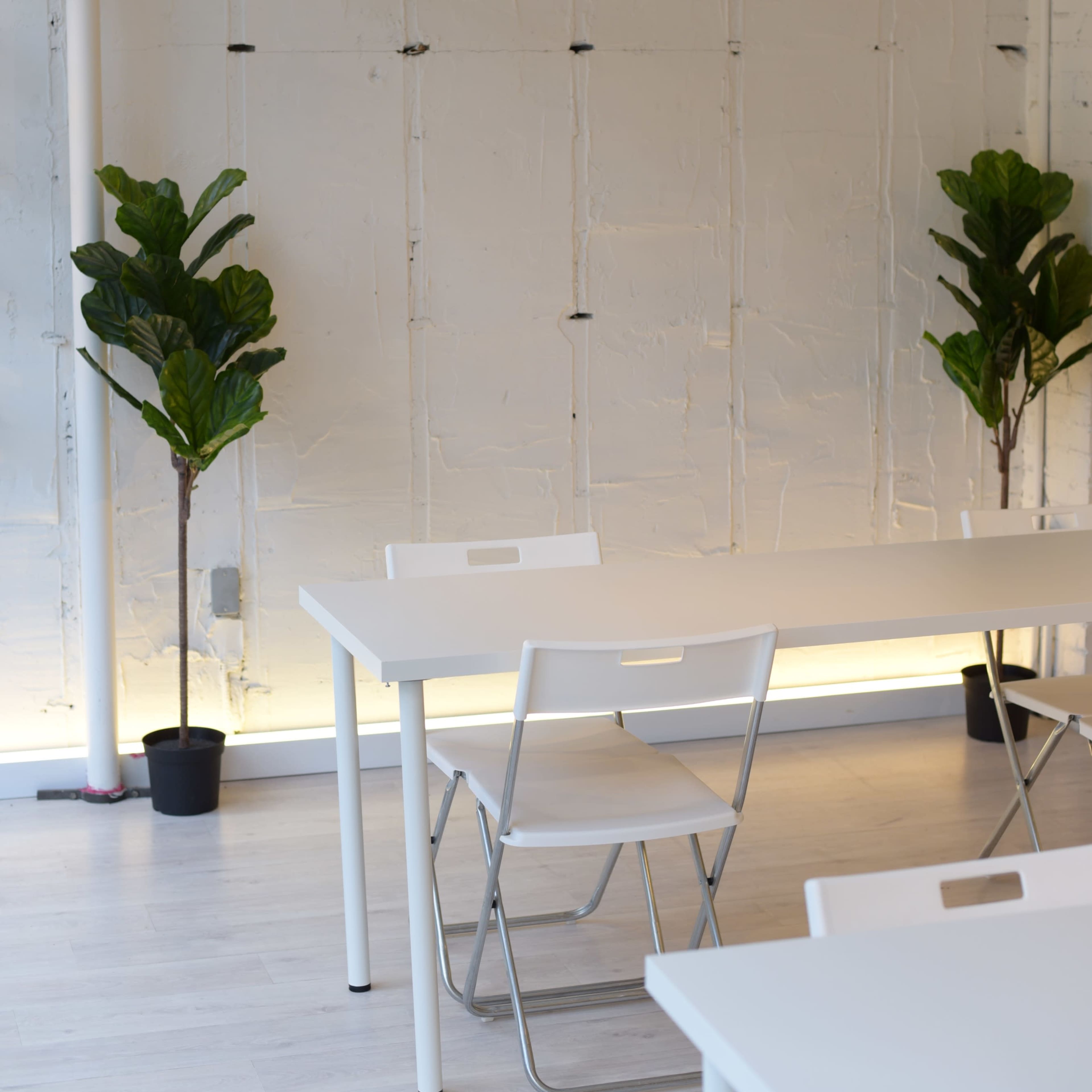 A modern workspace features a white table and chairs near two potted plants against a minimalist wall.