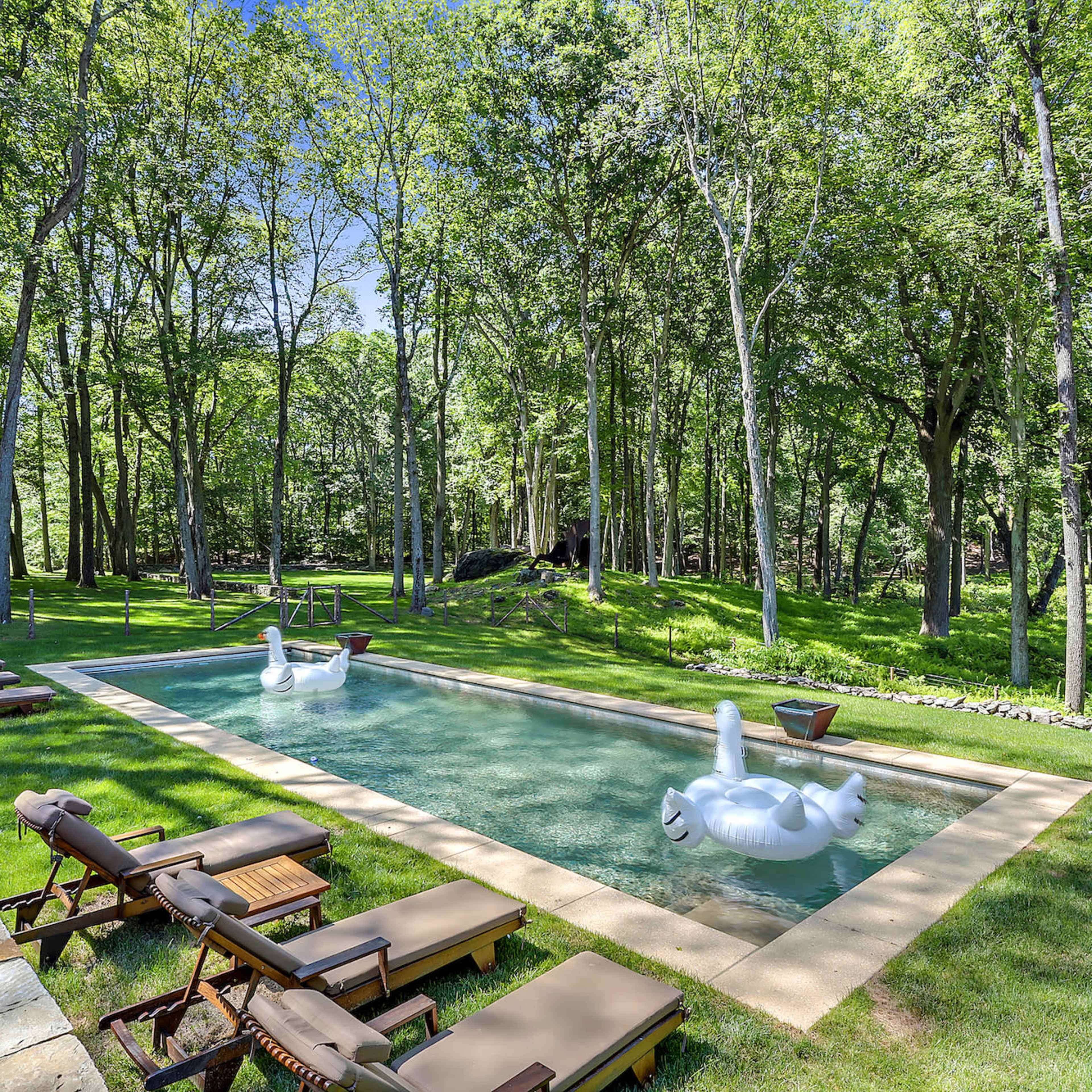 A rectangular swimming pool is surrounded by lounge chairs and features inflatable swan floats, set within a dense, green forest.